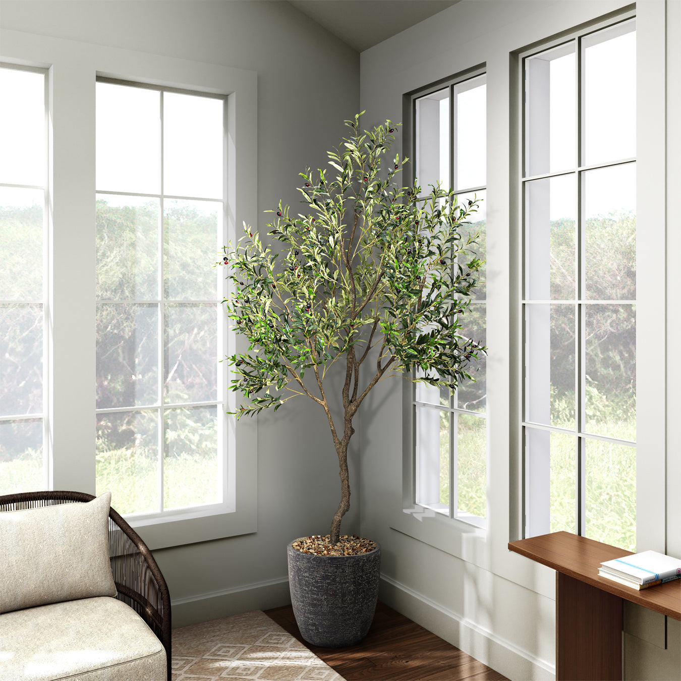 DW Silks Olive Tree 8′ — Black Hudson Planter