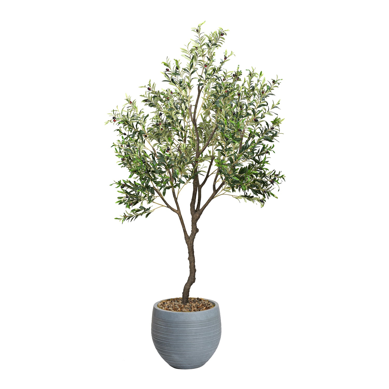 DW Silks Olive Tree 8′ — Riband Planter