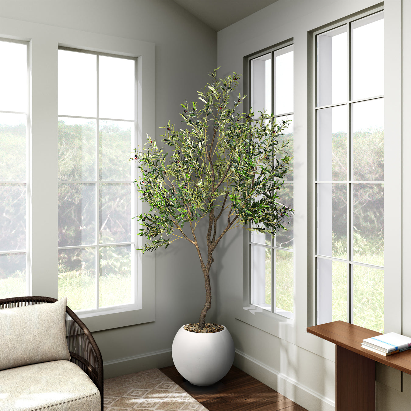 DW Silks Olive Tree 8′ — White Porter Planter