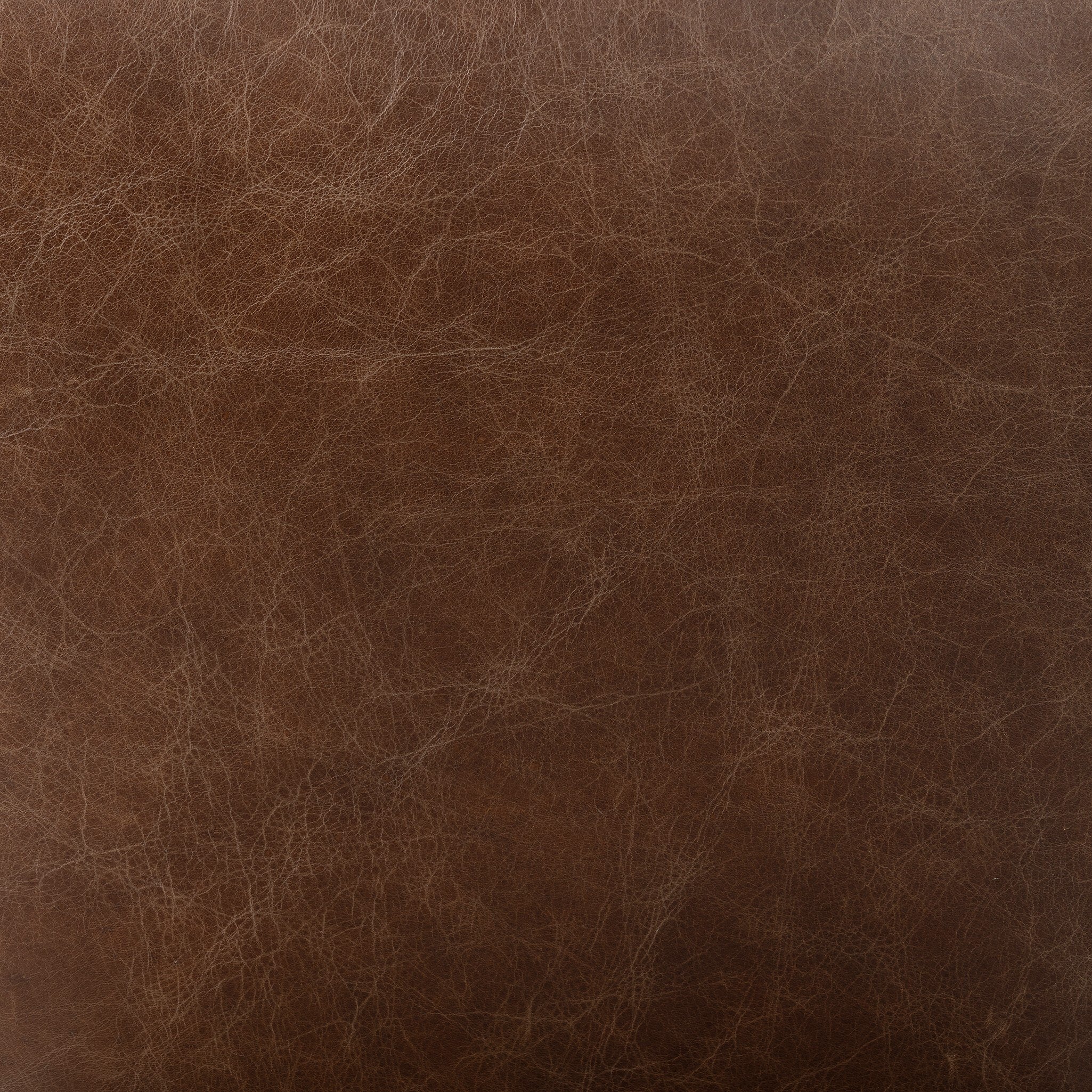 Four Hands Anton Dining Chair — Havana Brown-Burnt Oak-Raw Iron