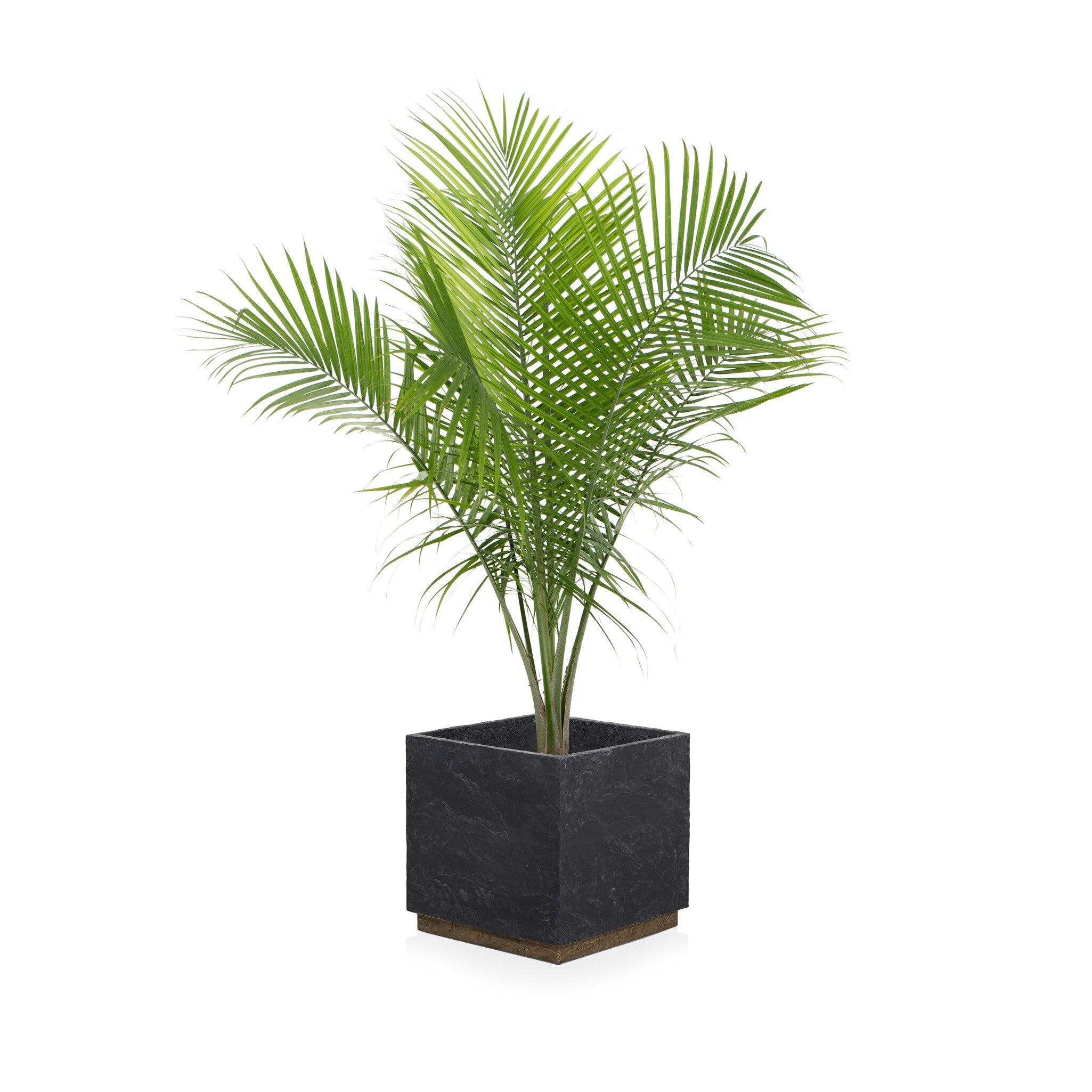 Four Hands Ely Planter — Dark Slate-Slate Brass Concrete