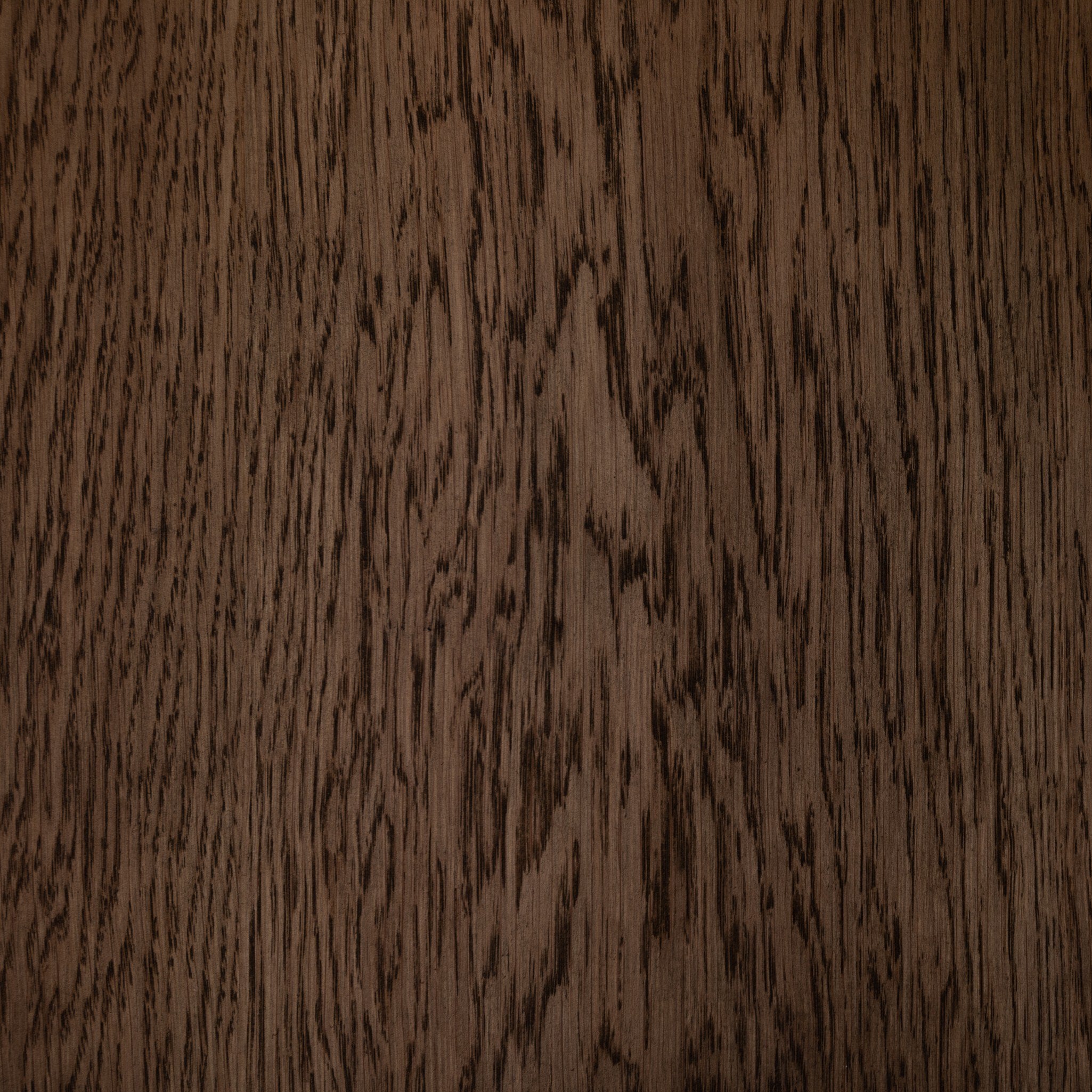 Four Hands Tolle Cabinet — Drifted Matte Black-Drifted Oak Solid-Worn Brass