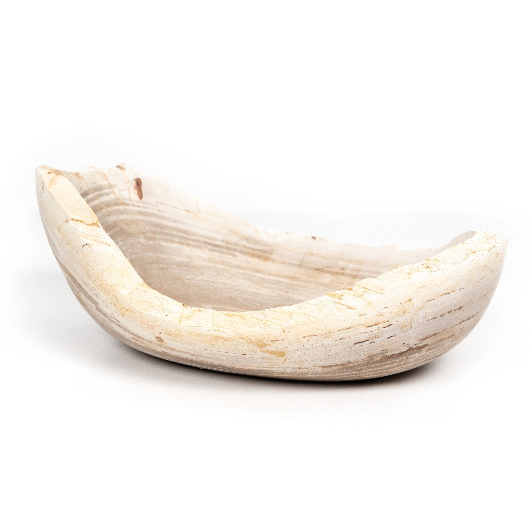 Four Hands Oval Petrified Wood Bowl — Light Petrified Wood