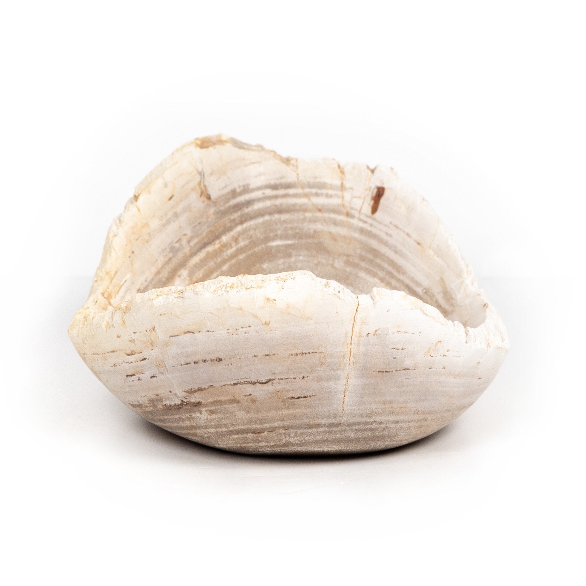 Four Hands Oval Petrified Wood Bowl — Light Petrified Wood