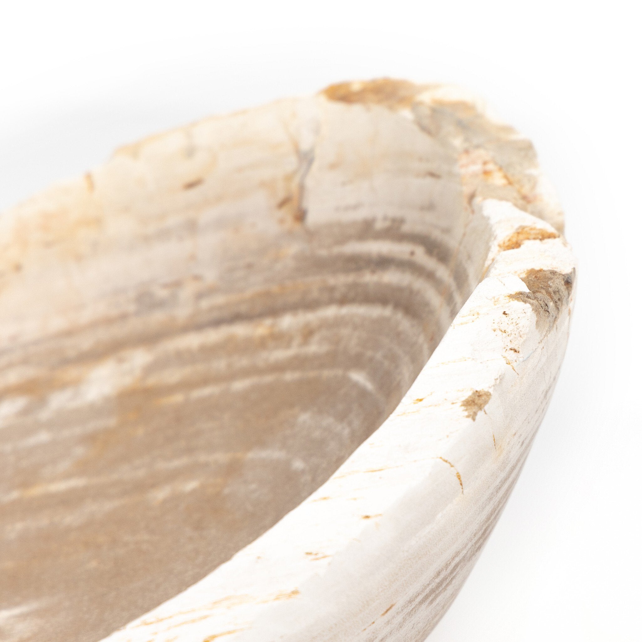 Four Hands Oval Petrified Wood Bowl — Light Petrified Wood