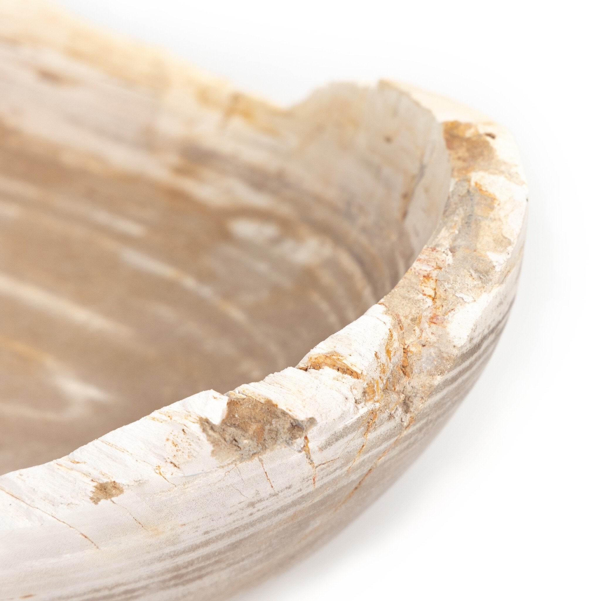 Four Hands Oval Petrified Wood Bowl — Light Petrified Wood