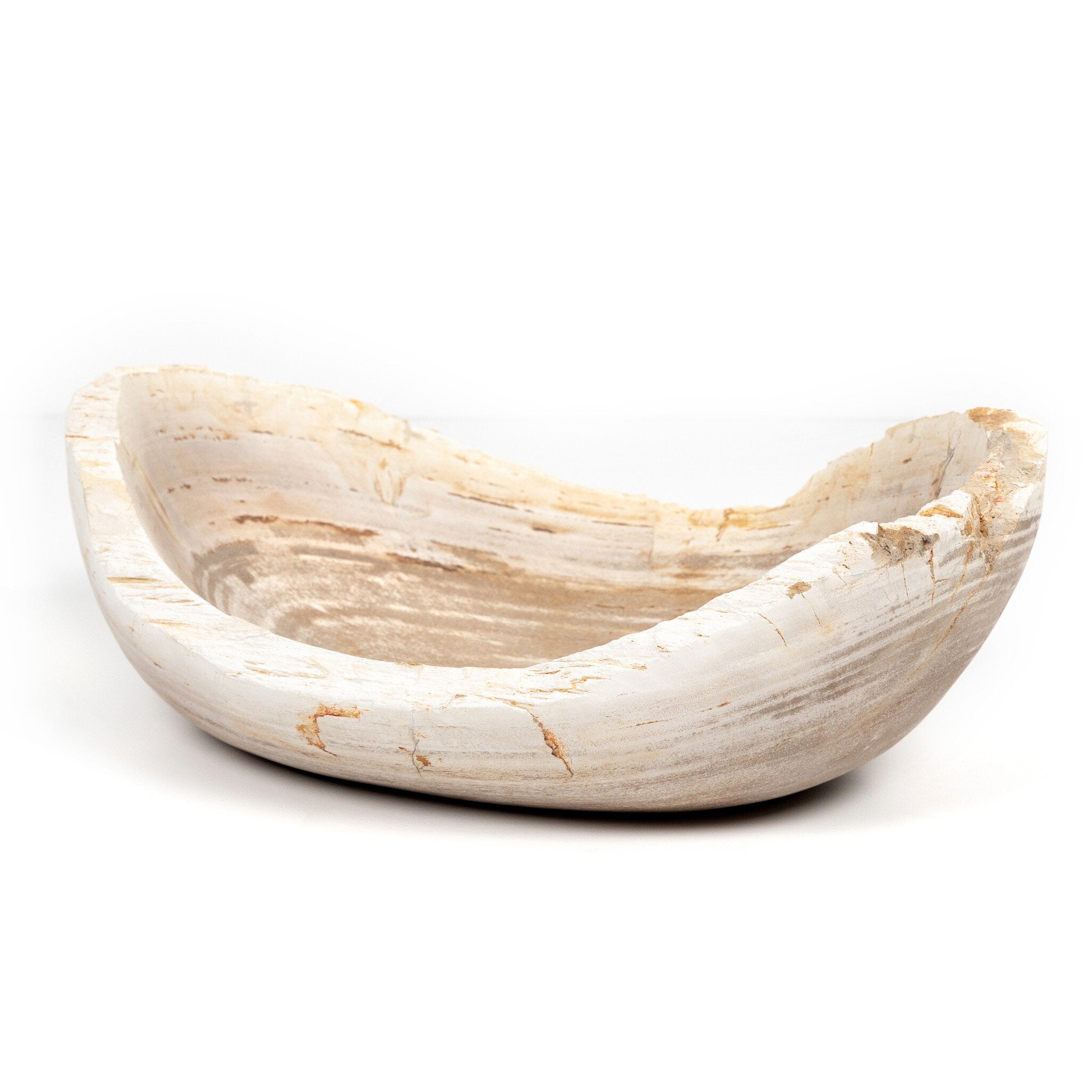 Four Hands Oval Petrified Wood Bowl — Light Petrified Wood