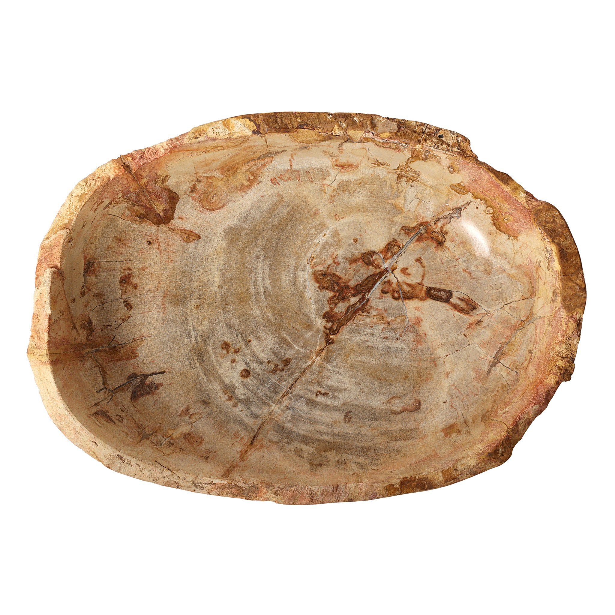 Four Hands Oval Petrified Wood Bowl — Light Petrified Wood