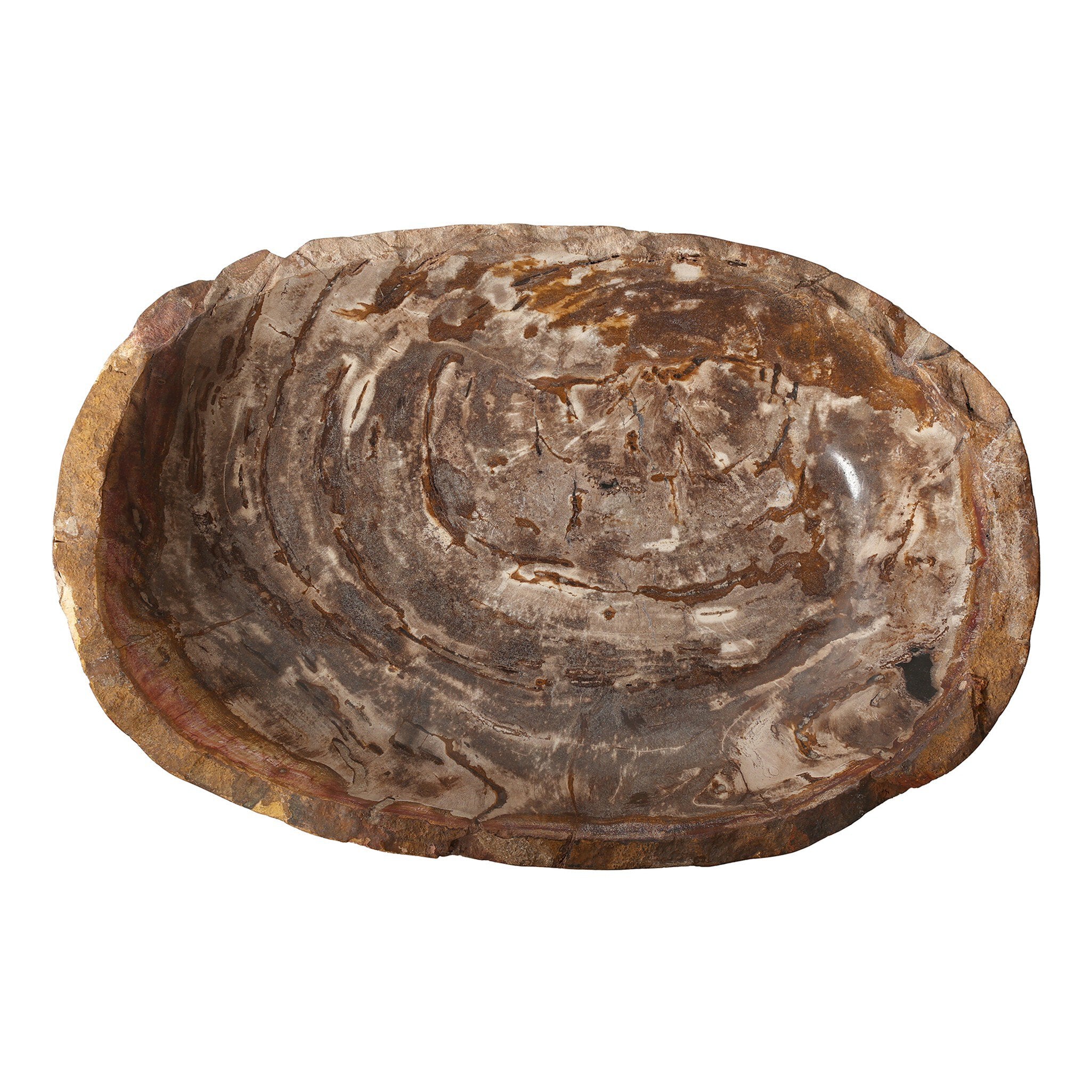 Four Hands Oval Petrified Wood Bowl — Light Petrified Wood