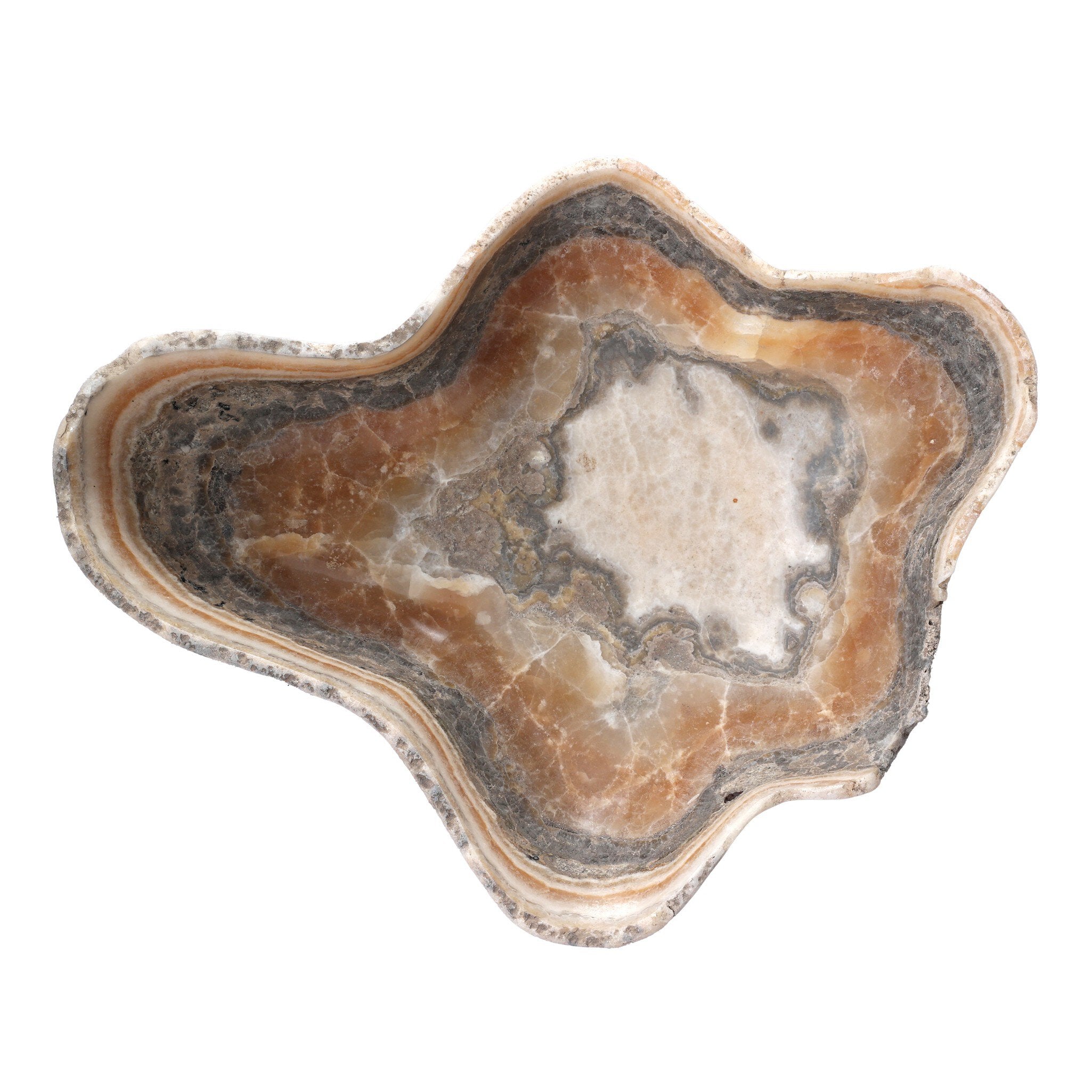 Four Hands Oval Petrified Wood Bowl — Light Petrified Wood