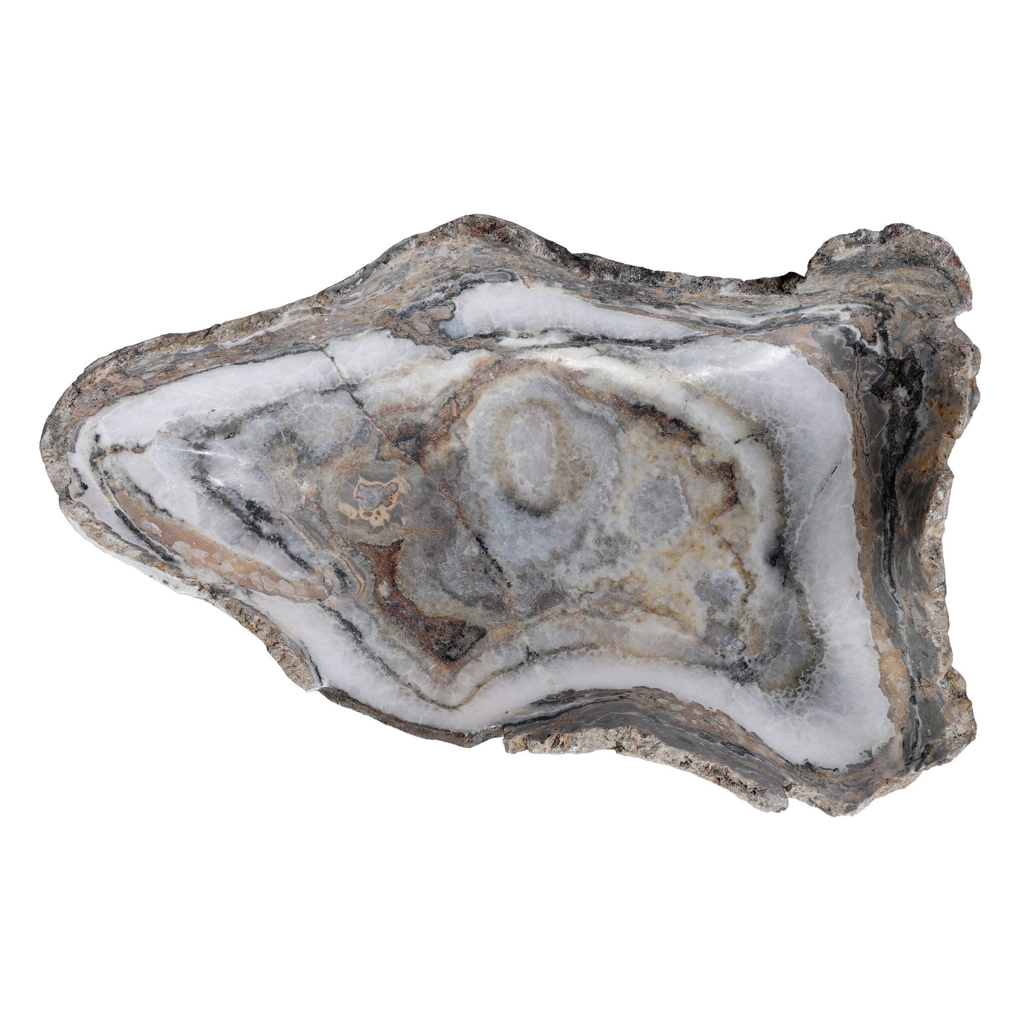 Four Hands Oval Petrified Wood Bowl — Light Petrified Wood