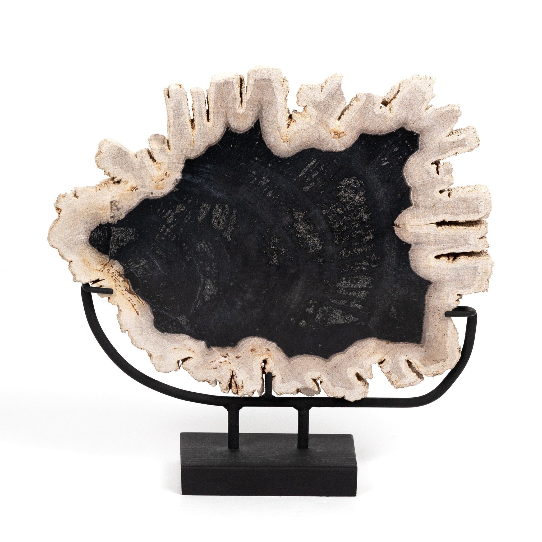 Four Hands Petrified Wood Sculpture — Dark Petrified Wood-Matte Black Iron