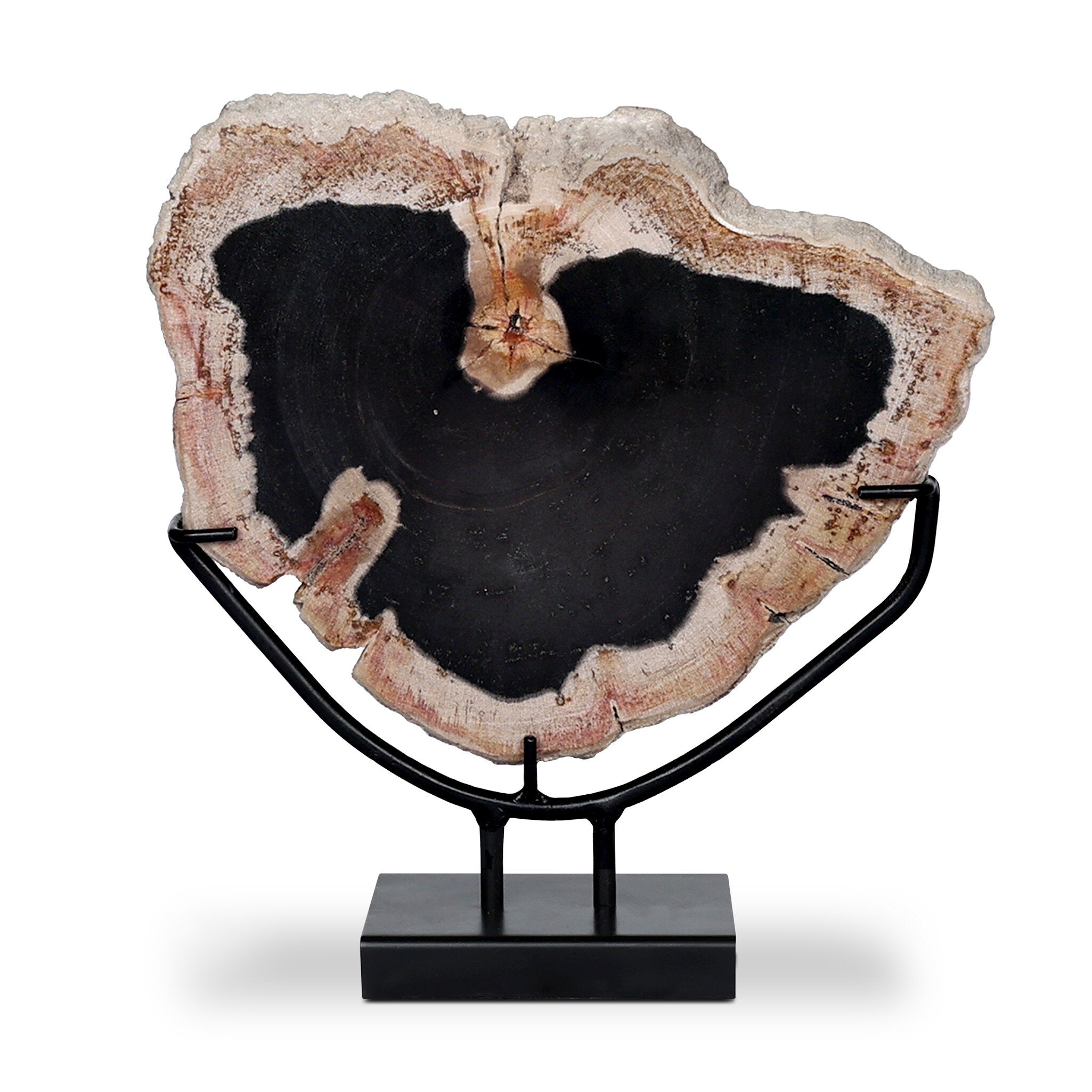 Four Hands Petrified Wood Sculpture — Dark Petrified Wood-Matte Black Iron