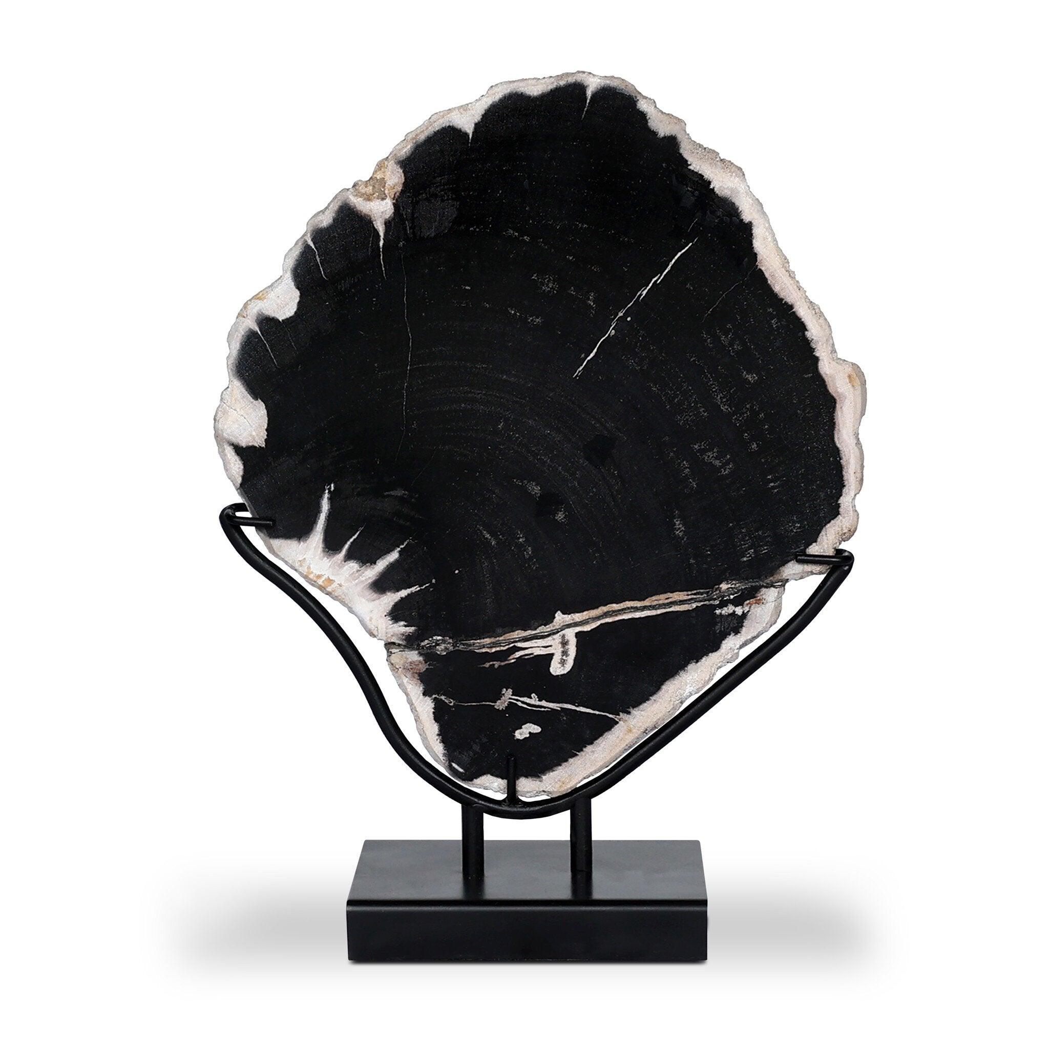 Four Hands Petrified Wood Sculpture — Dark Petrified Wood-Matte Black Iron