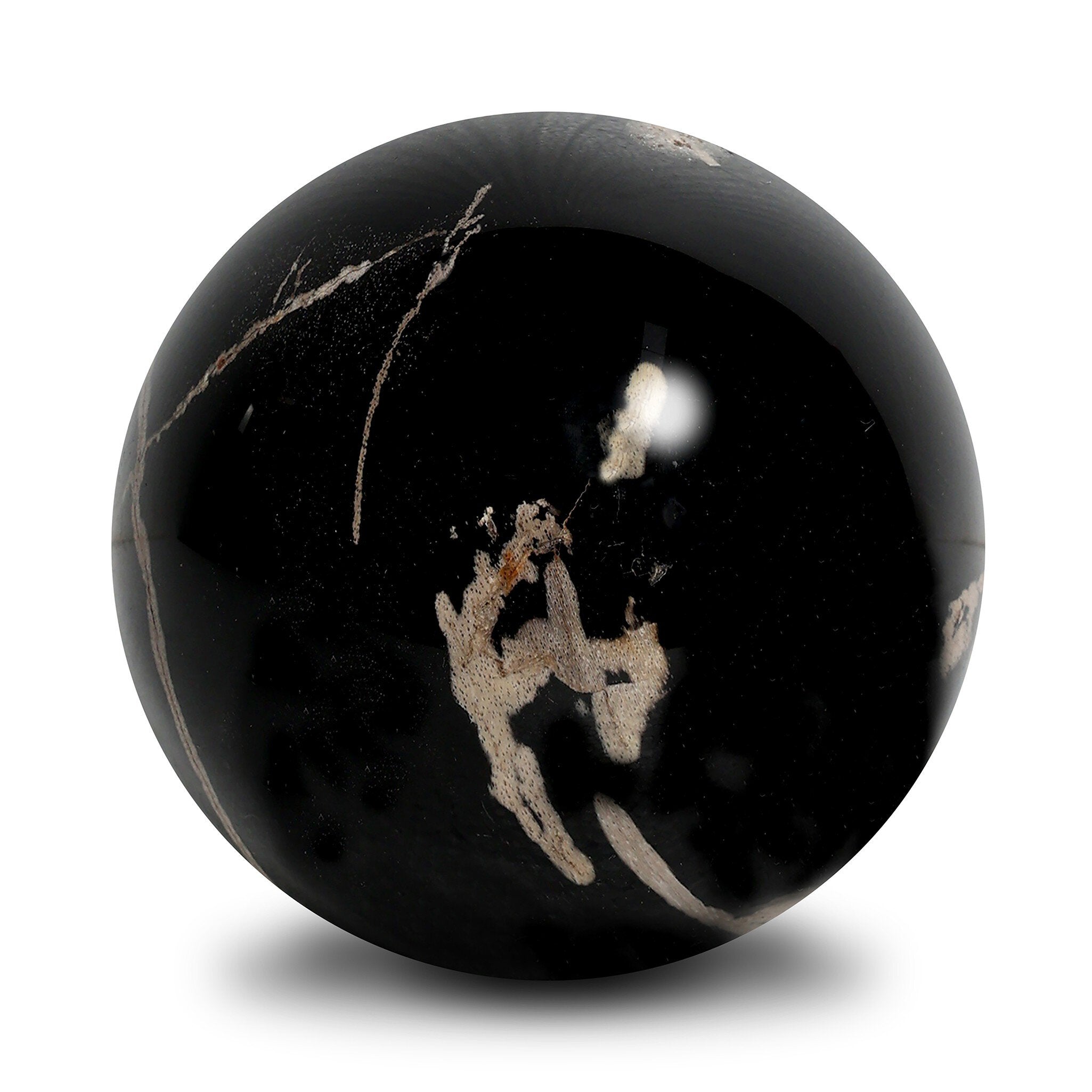 Four Hands Petrified Wood Balls, Set Of 3 — Dark Petrified Wood