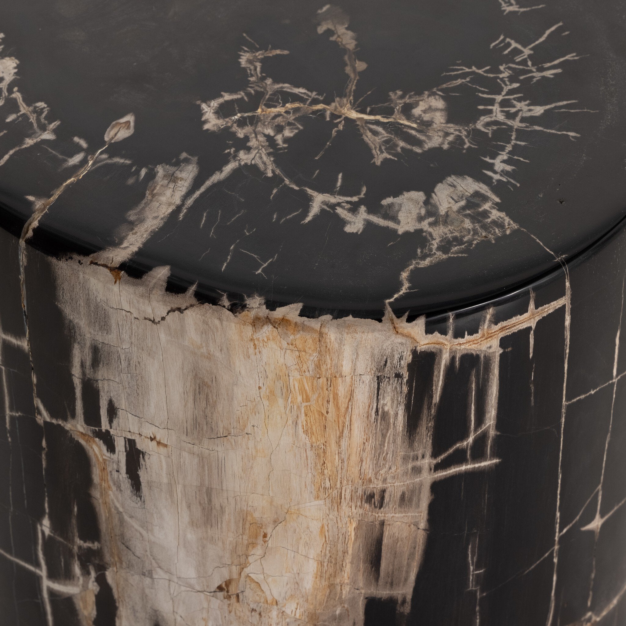Four Hands Kos End Table — Dark Petrified Wood