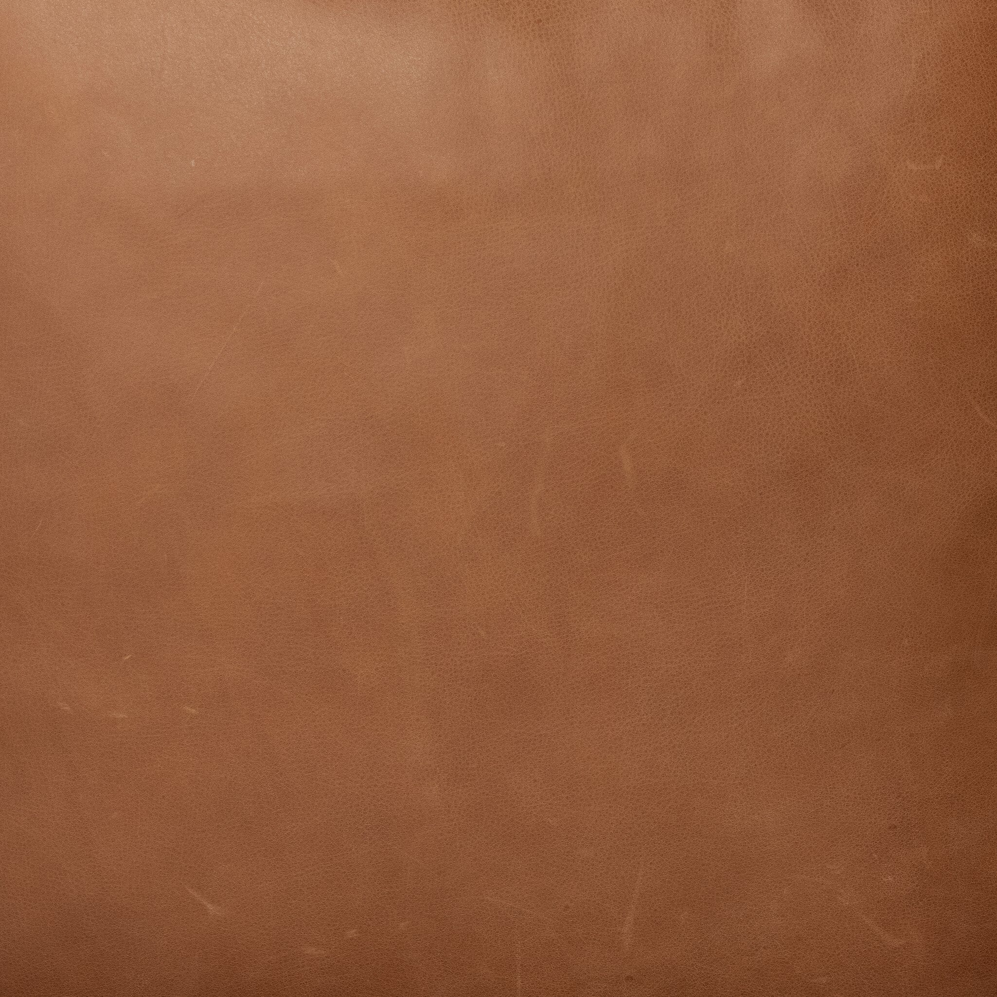 Four Hands Cairo Chair — Palermo Cognac-Sienna Brown