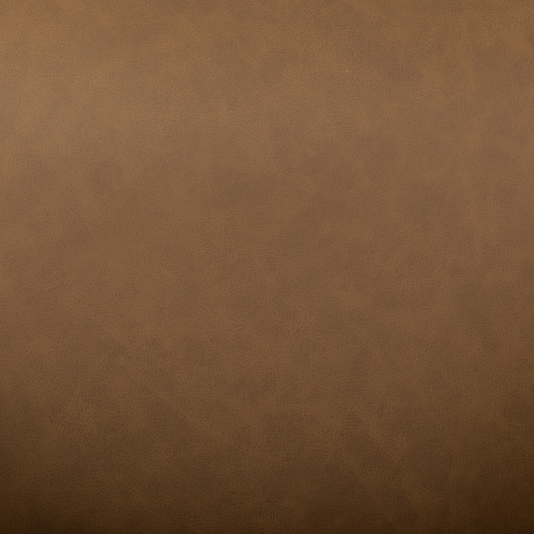 Four Hands Cairo Chair — Maestro Cigar-Sienna Brown