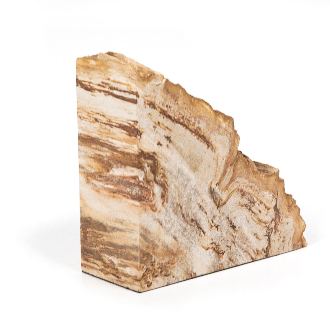Four Hands Petrified Wood Book Ends — Light Petrified Wood
