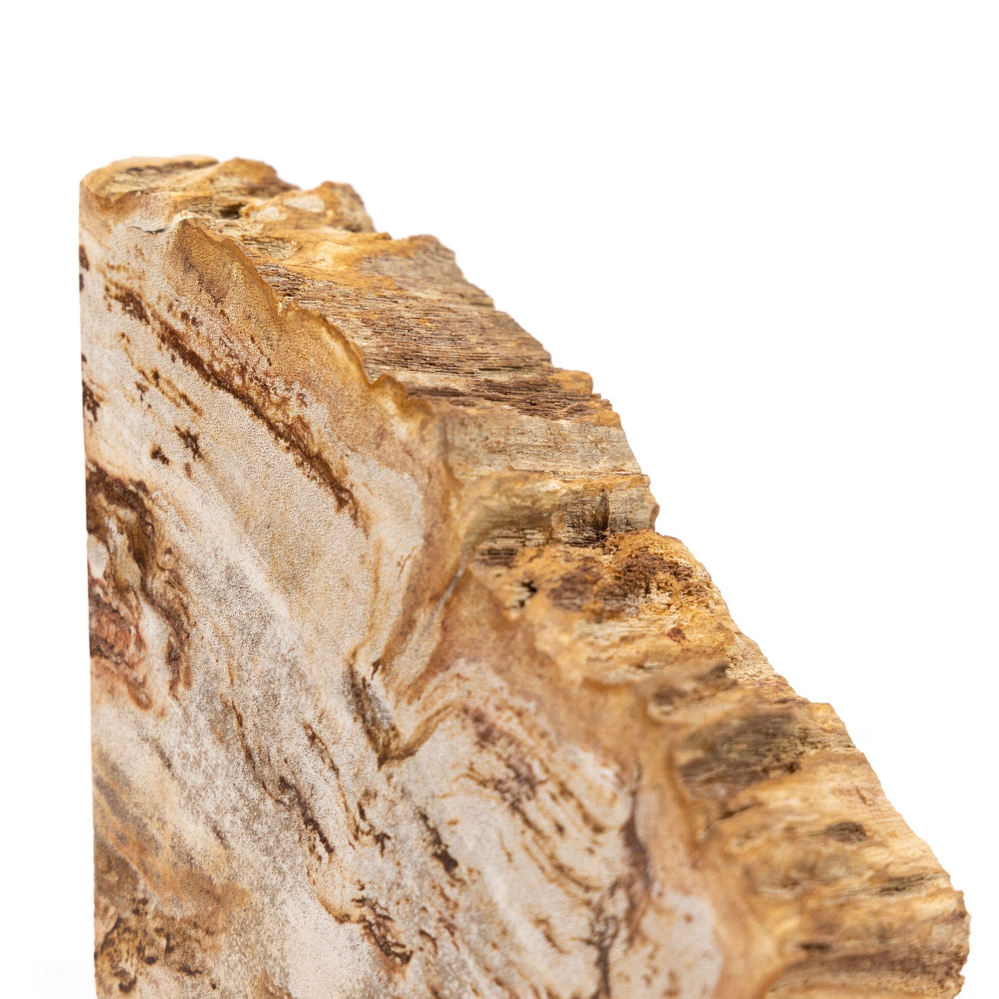 Four Hands Petrified Wood Book Ends — Light Petrified Wood