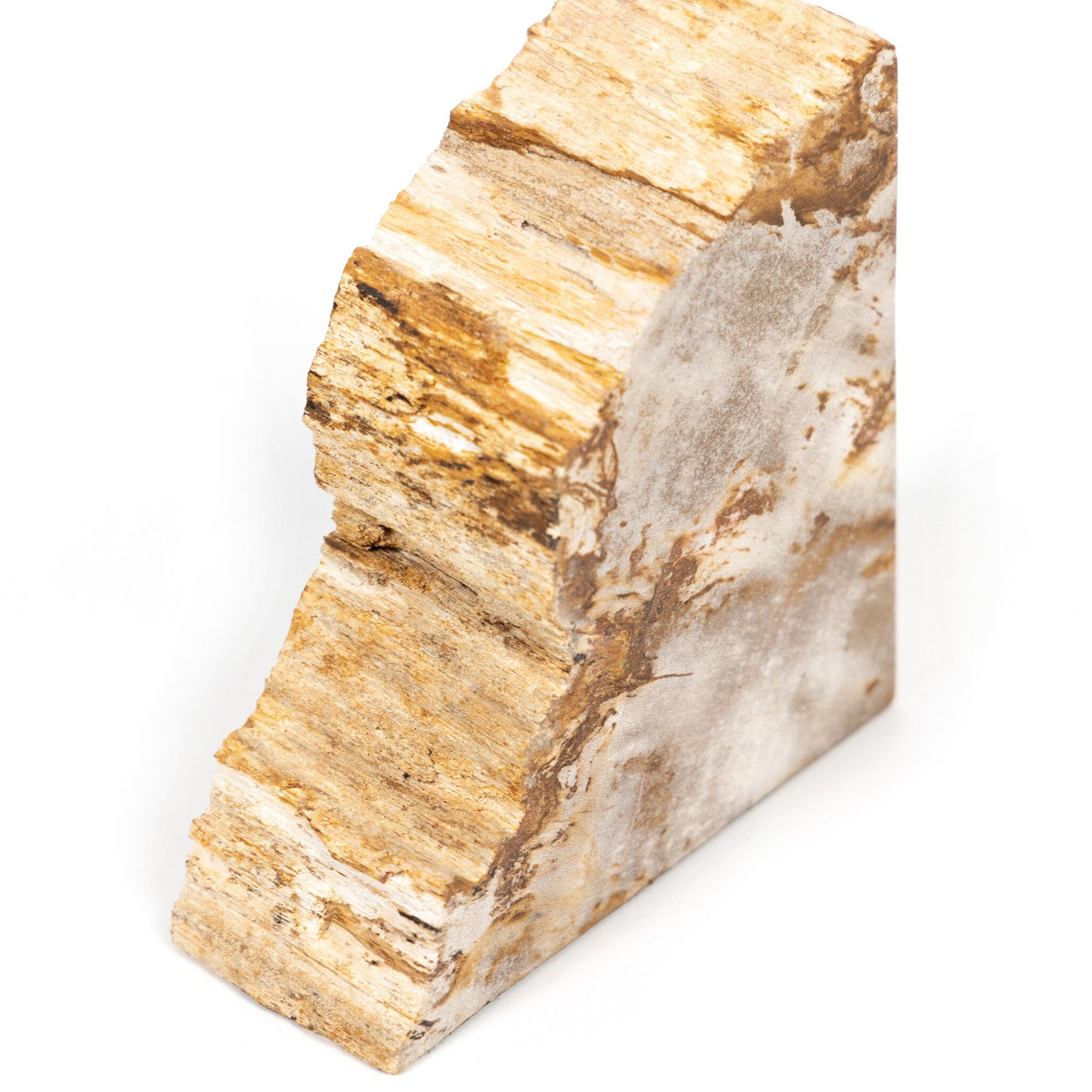 Four Hands Petrified Wood Book Ends — Light Petrified Wood