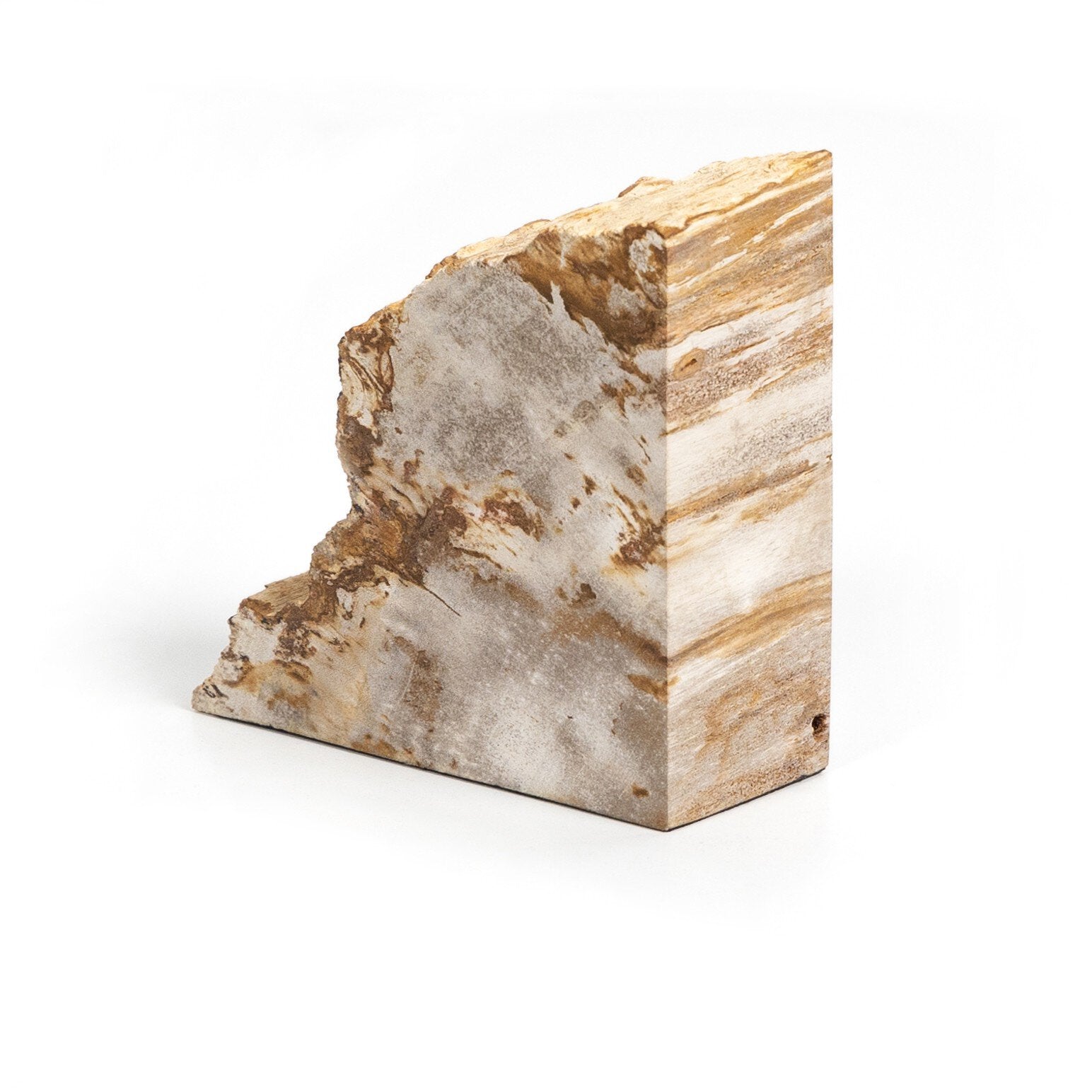 Four Hands Petrified Wood Book Ends — Light Petrified Wood