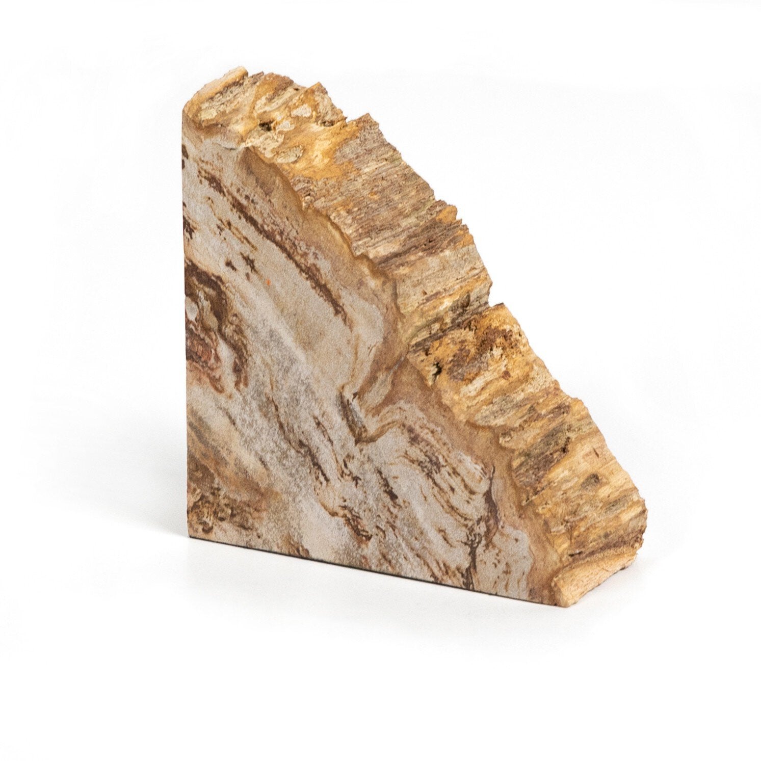 Four Hands Petrified Wood Book Ends — Light Petrified Wood