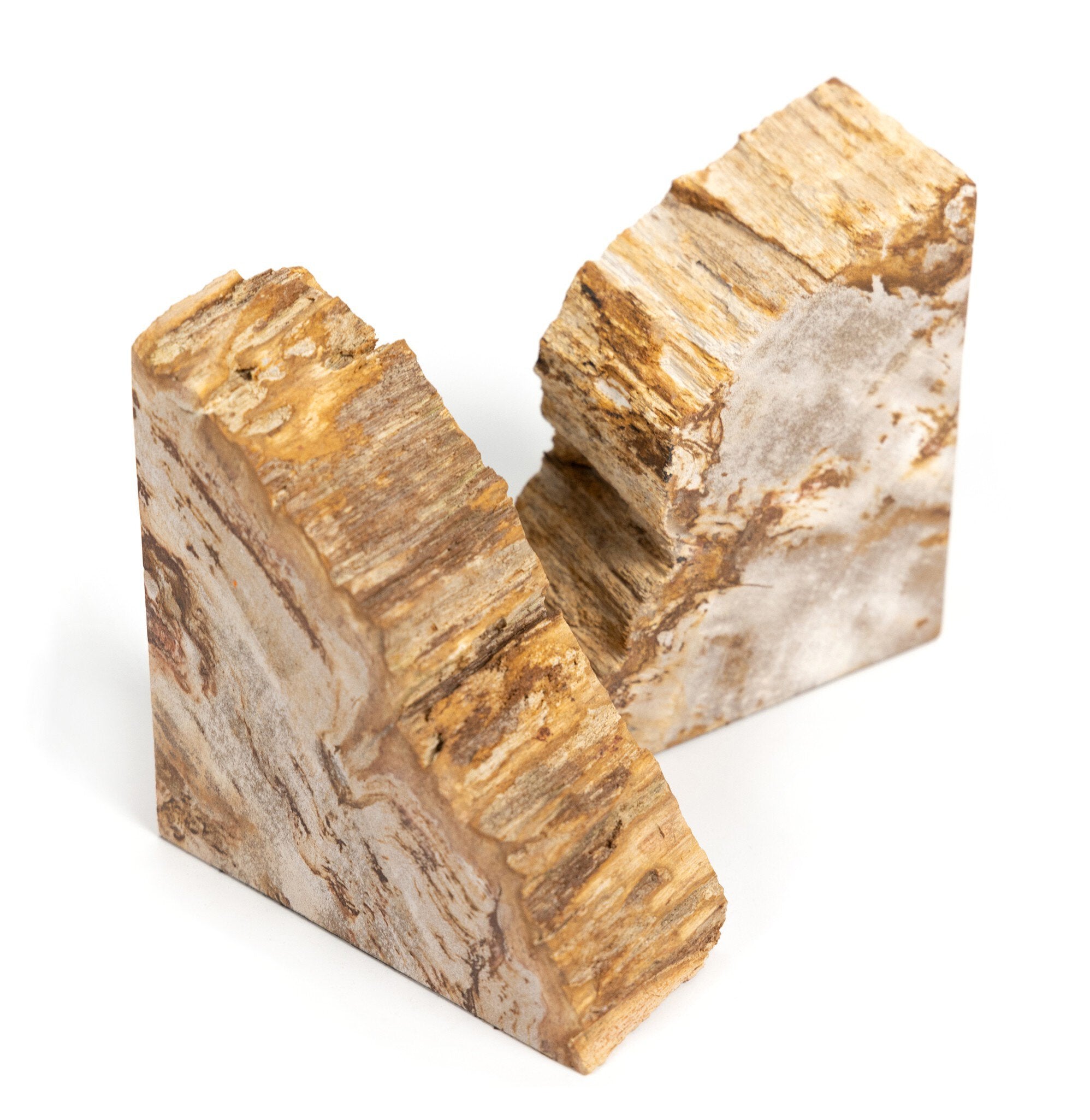 Four Hands Petrified Wood Book Ends — Light Petrified Wood