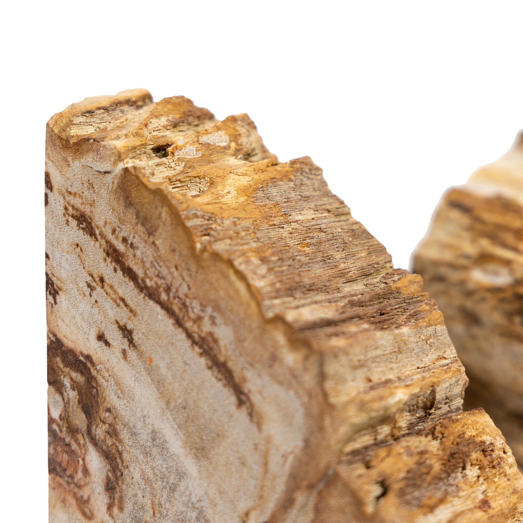 Four Hands Petrified Wood Book Ends — Light Petrified Wood