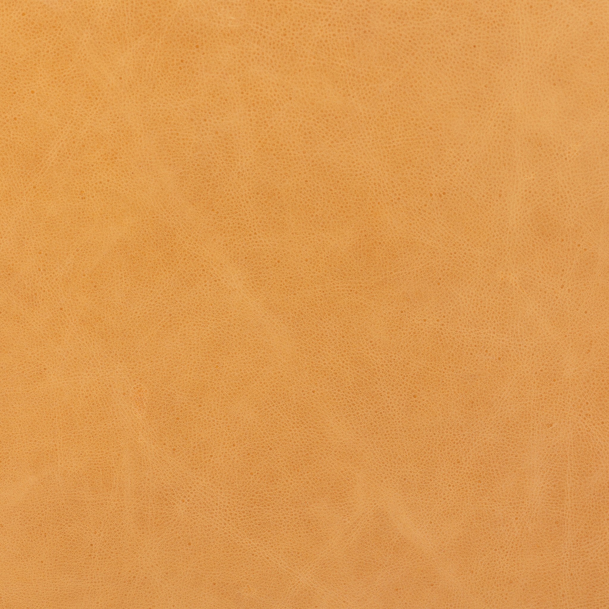Four Hands Sinclair Cocktail Ottoman — Palermo Butterscotch-Distressed Natural