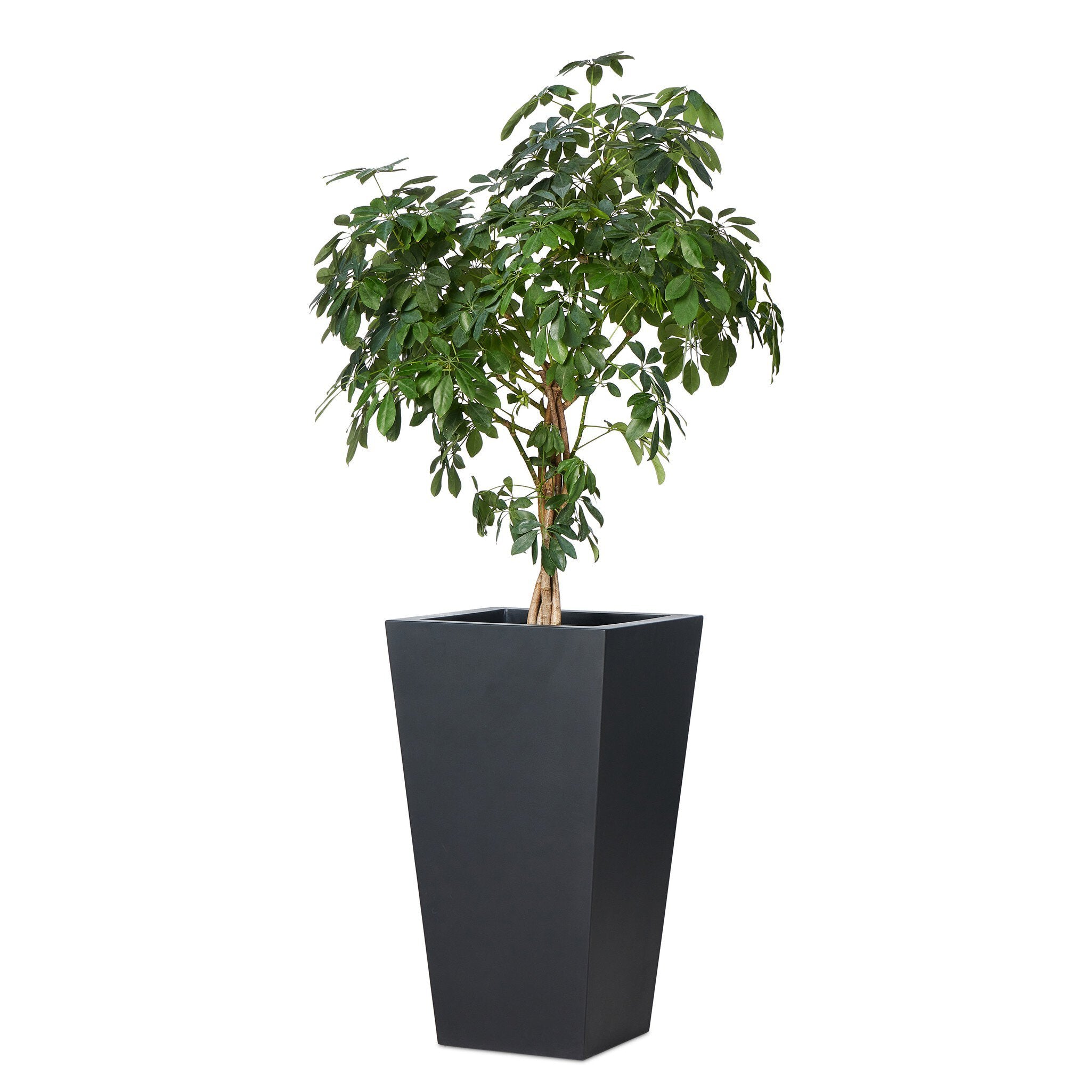 Four Hands Koto Planter — Black Concrete