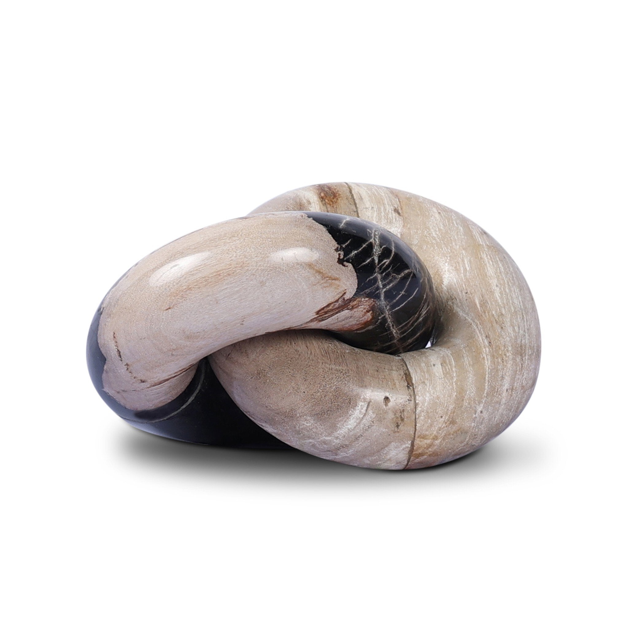 Four Hands Petrified Wood Knot — Dark Petrified Wood-Light Petrified Wood
