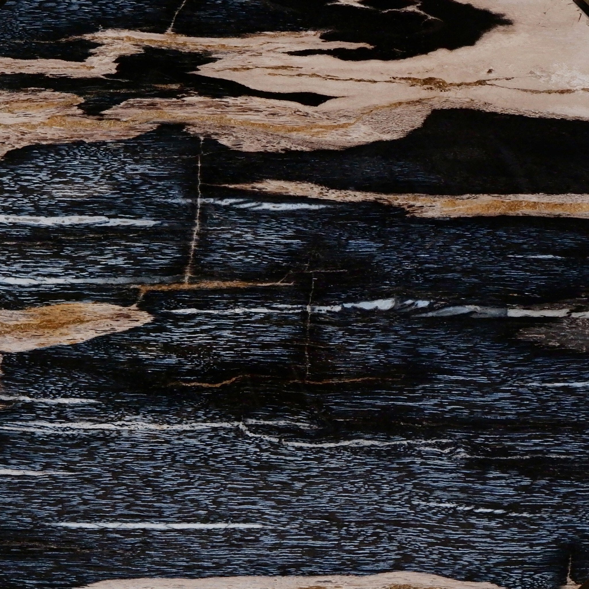 Four Hands Petrified Wood Knot — Dark Petrified Wood-Light Petrified Wood