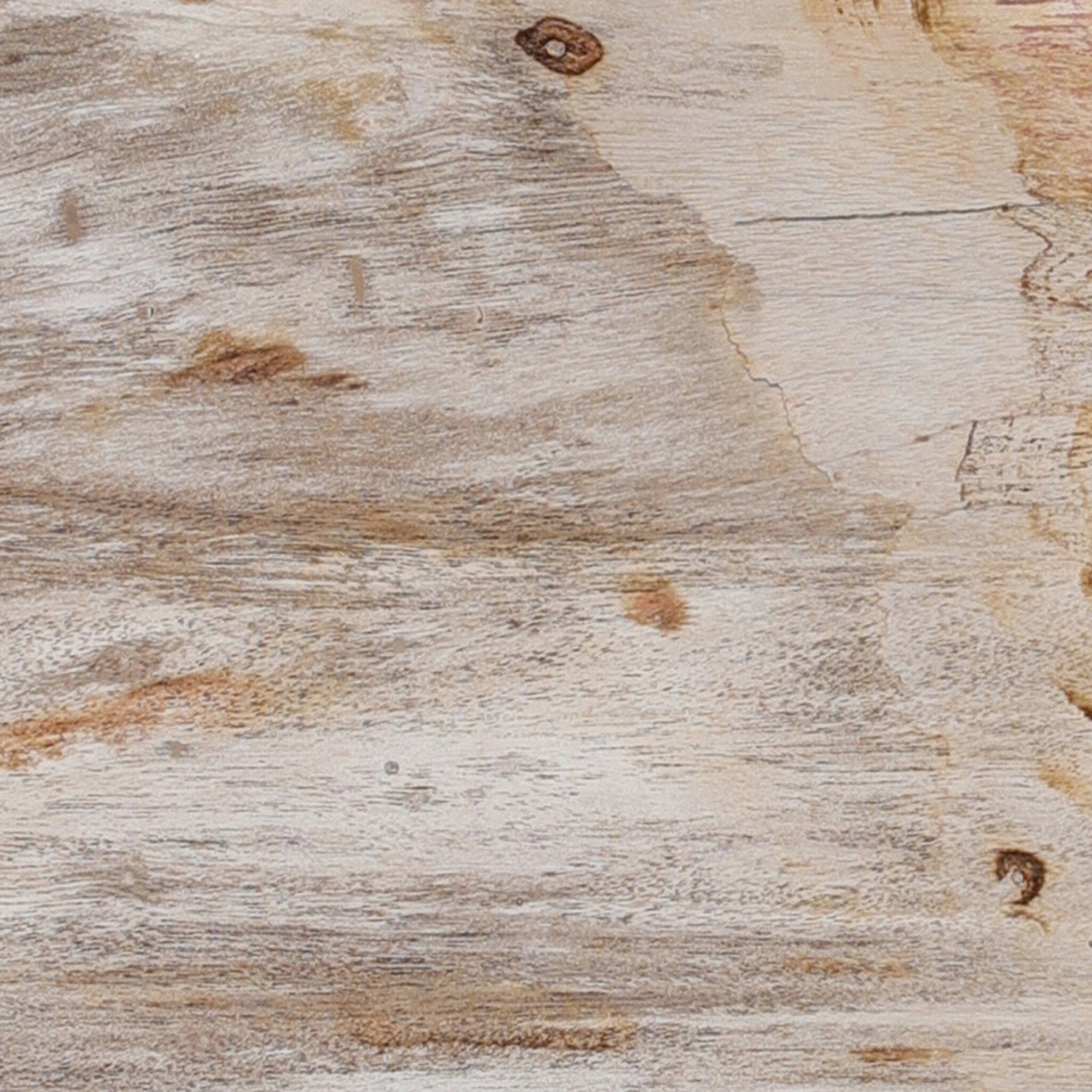 Four Hands Petrified Wood Knot — Dark Petrified Wood-Light Petrified Wood
