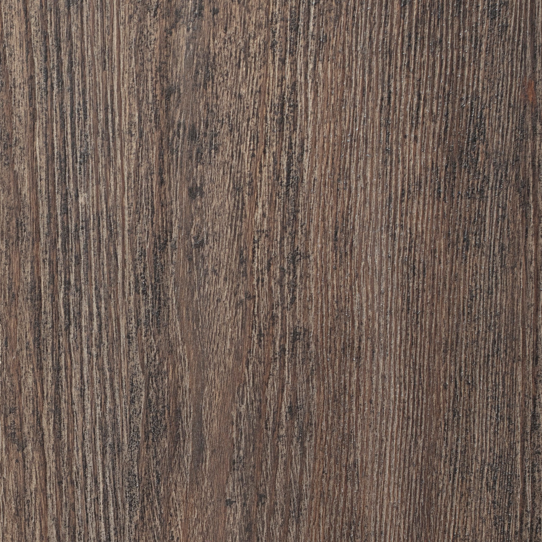Four Hands Alcott Cabinet — Distressed Cocoa Pine-Distressed Cocoa Pine Veneer-Aged Iron