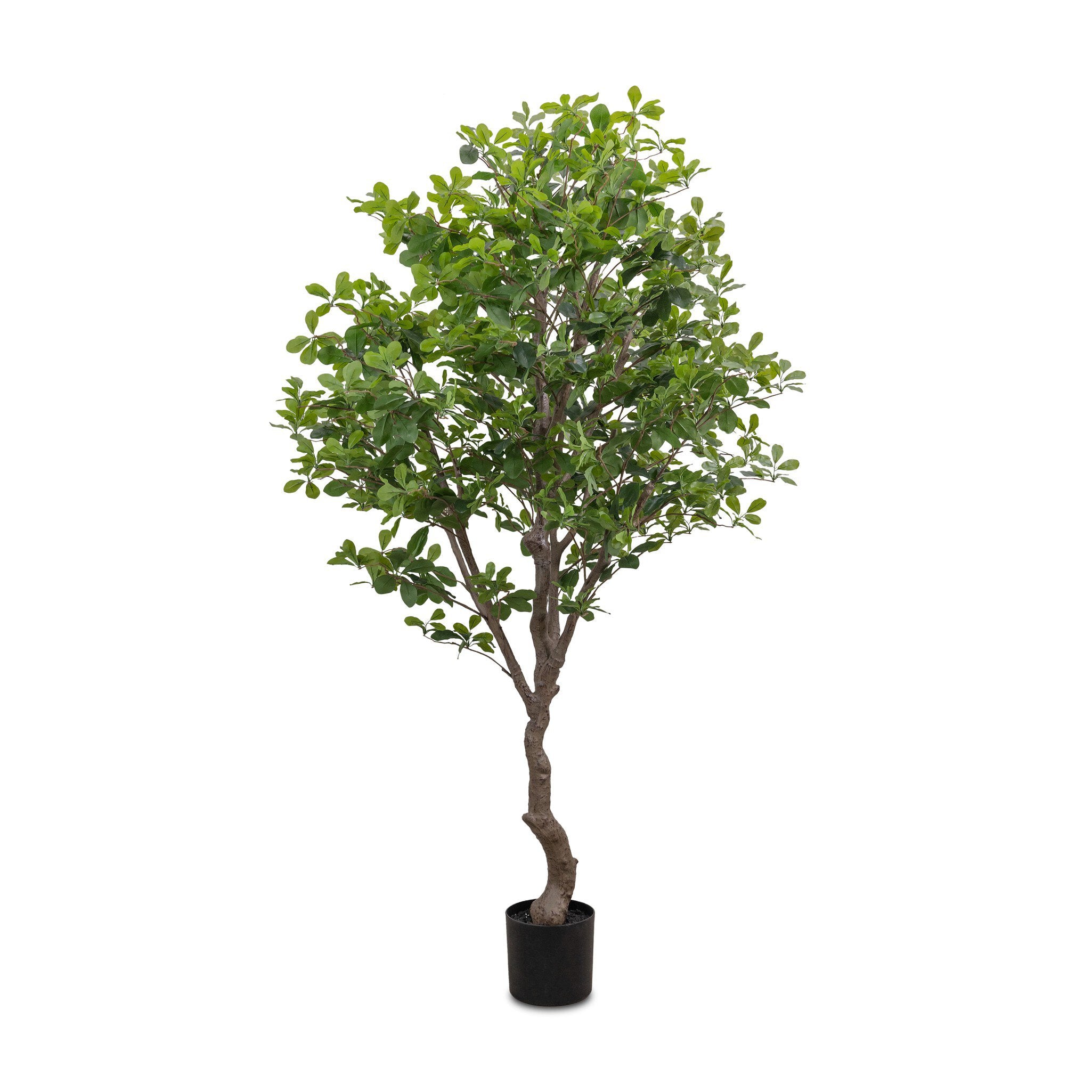 Four Hands Faux Aralia Tree — Faux Aralia Tree-6'