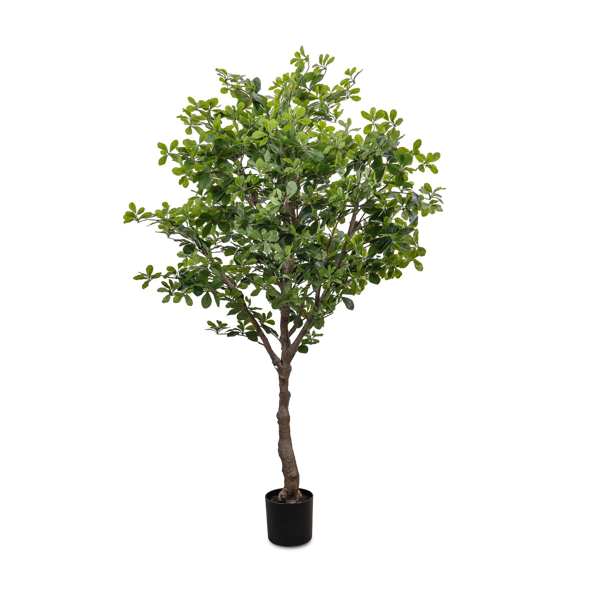 Four Hands Faux Aralia Tree — Faux Aralia Tree-6'