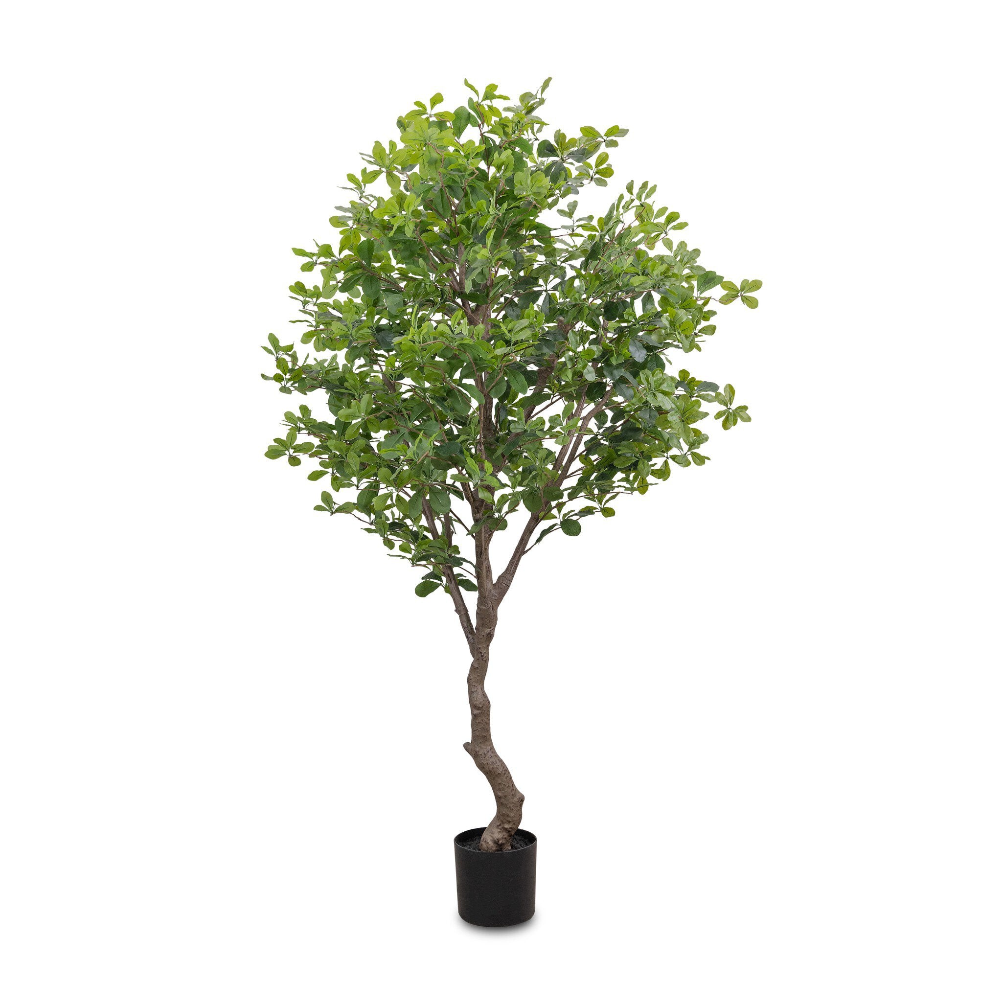 Four Hands Faux Aralia Tree — Faux Aralia Tree-6'