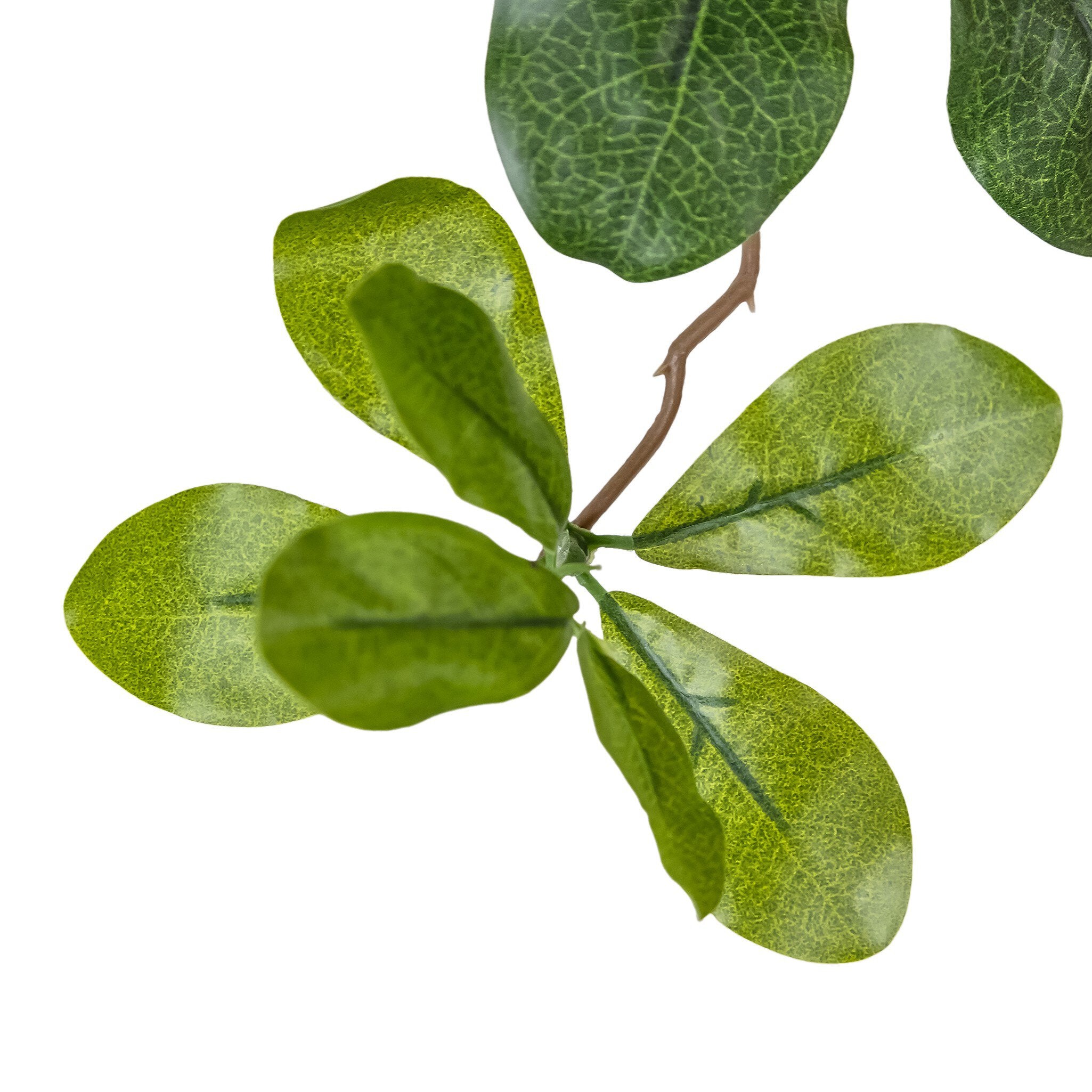 Four Hands Faux Aralia Tree — Faux Aralia Tree-8'