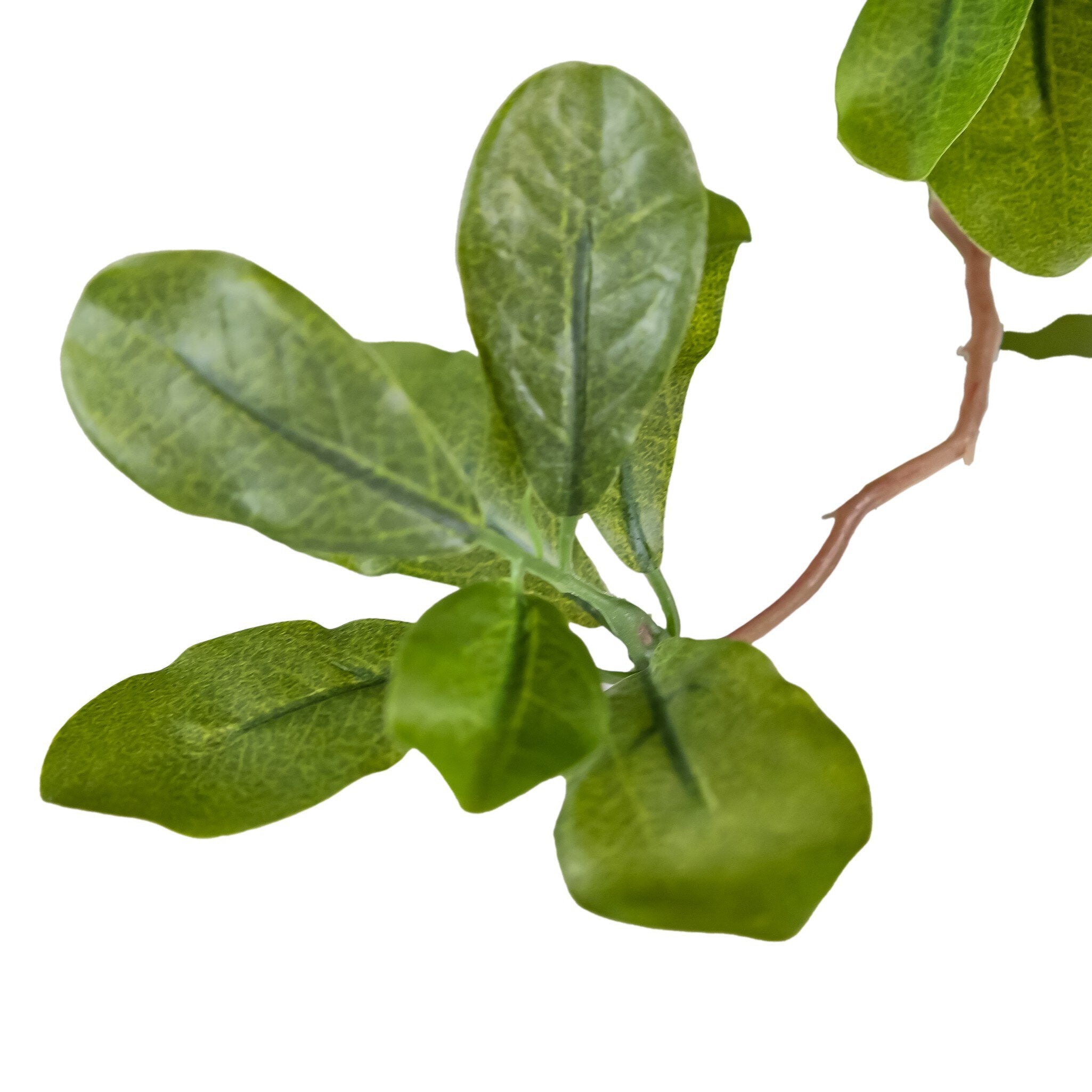Four Hands Faux Aralia Tree — Faux Aralia Tree-8'