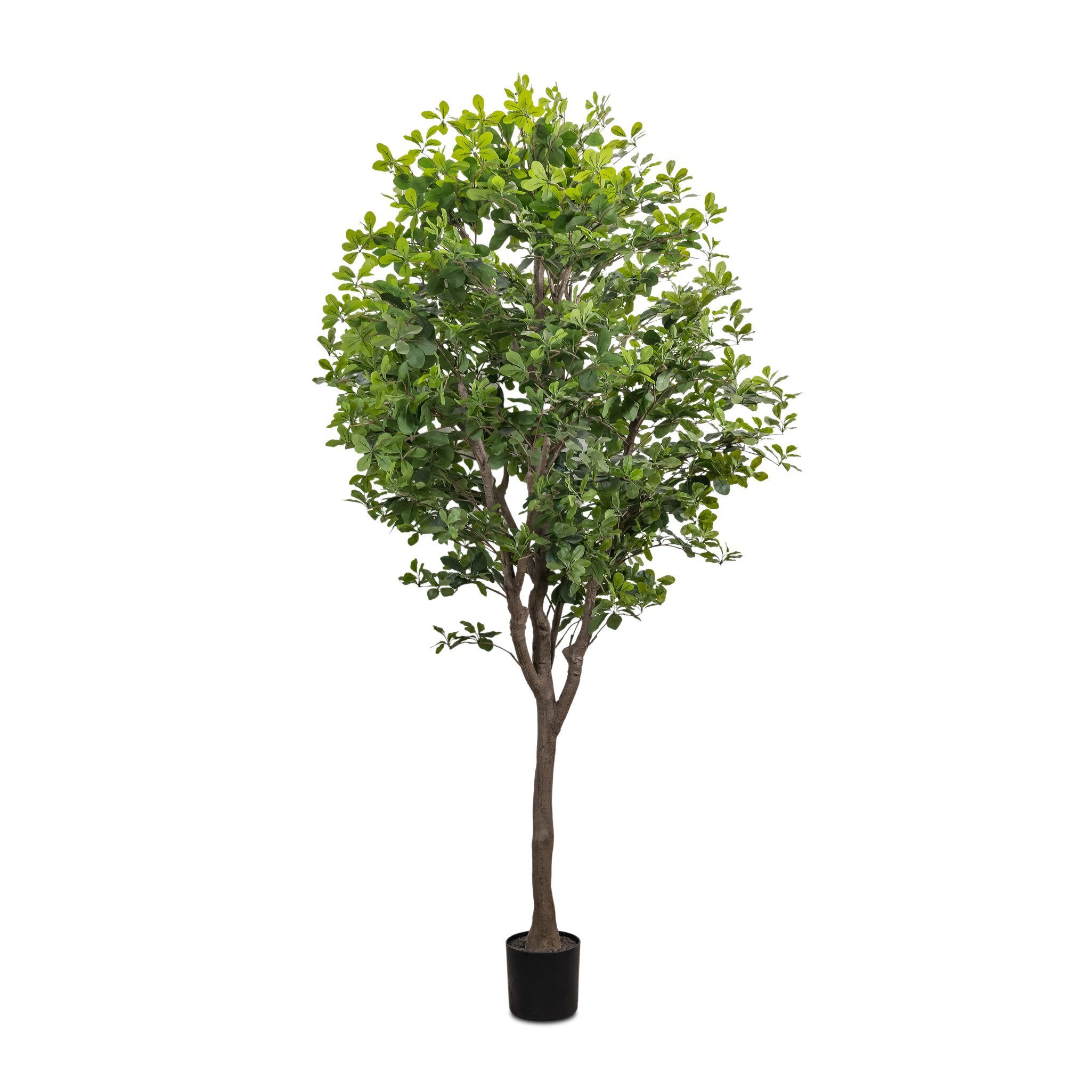 Four Hands Faux Aralia Tree — Faux Aralia Tree-8'