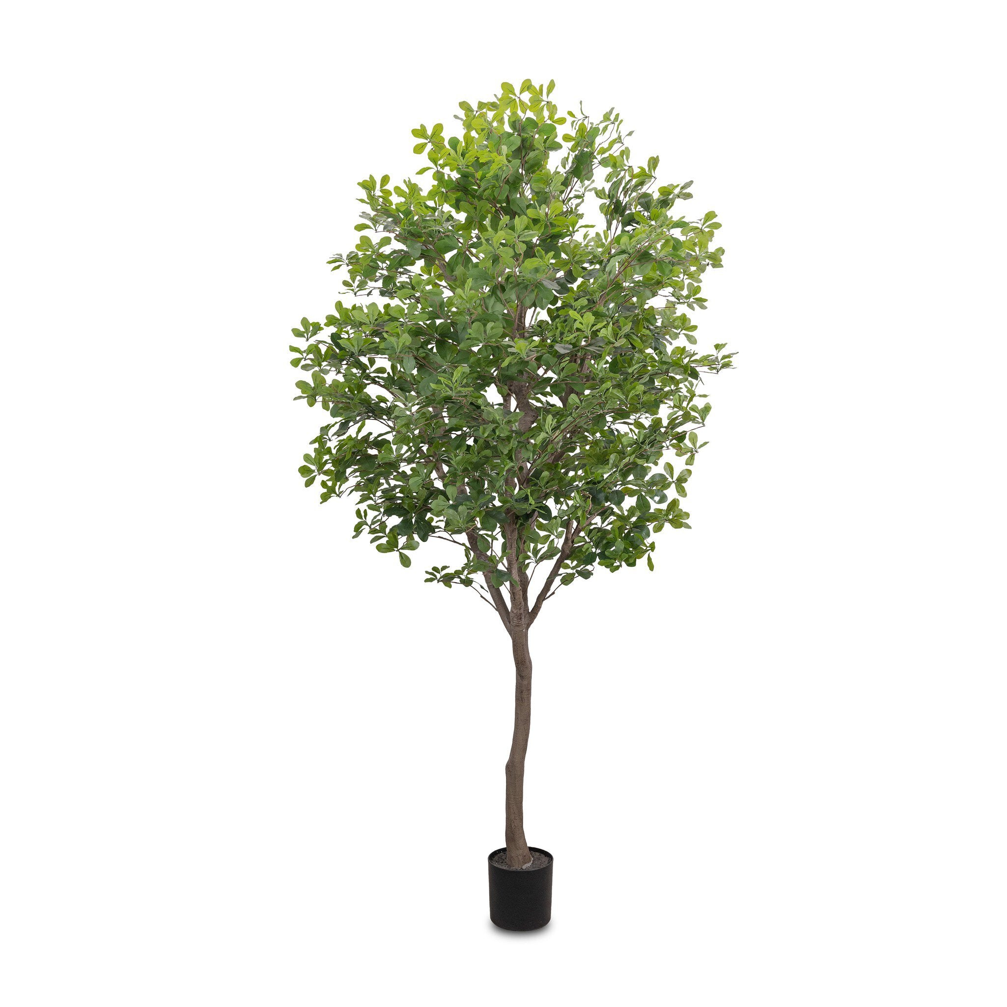 Four Hands Faux Aralia Tree — Faux Aralia Tree-8'