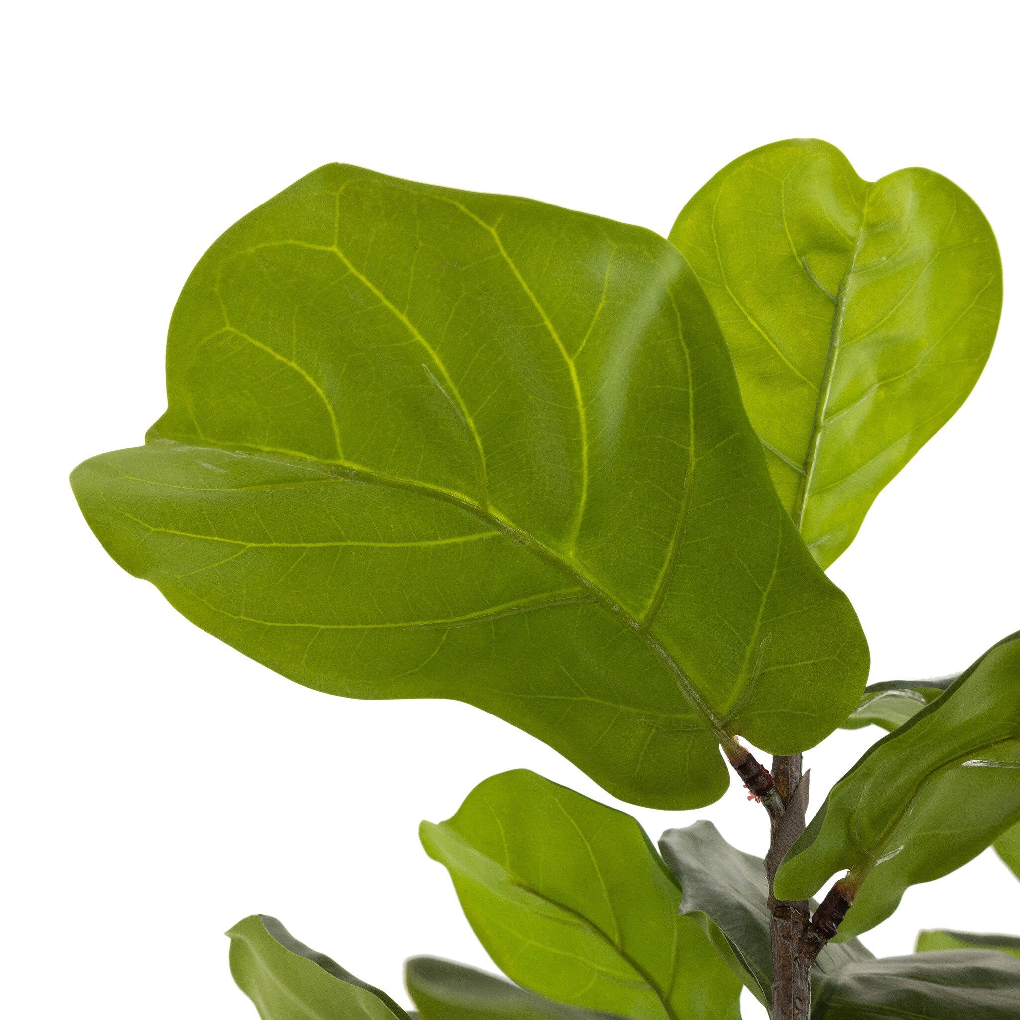 Four Hands Faux Fiddle Leaf Tree — Faux Fiddle Leaf Tree-7'
