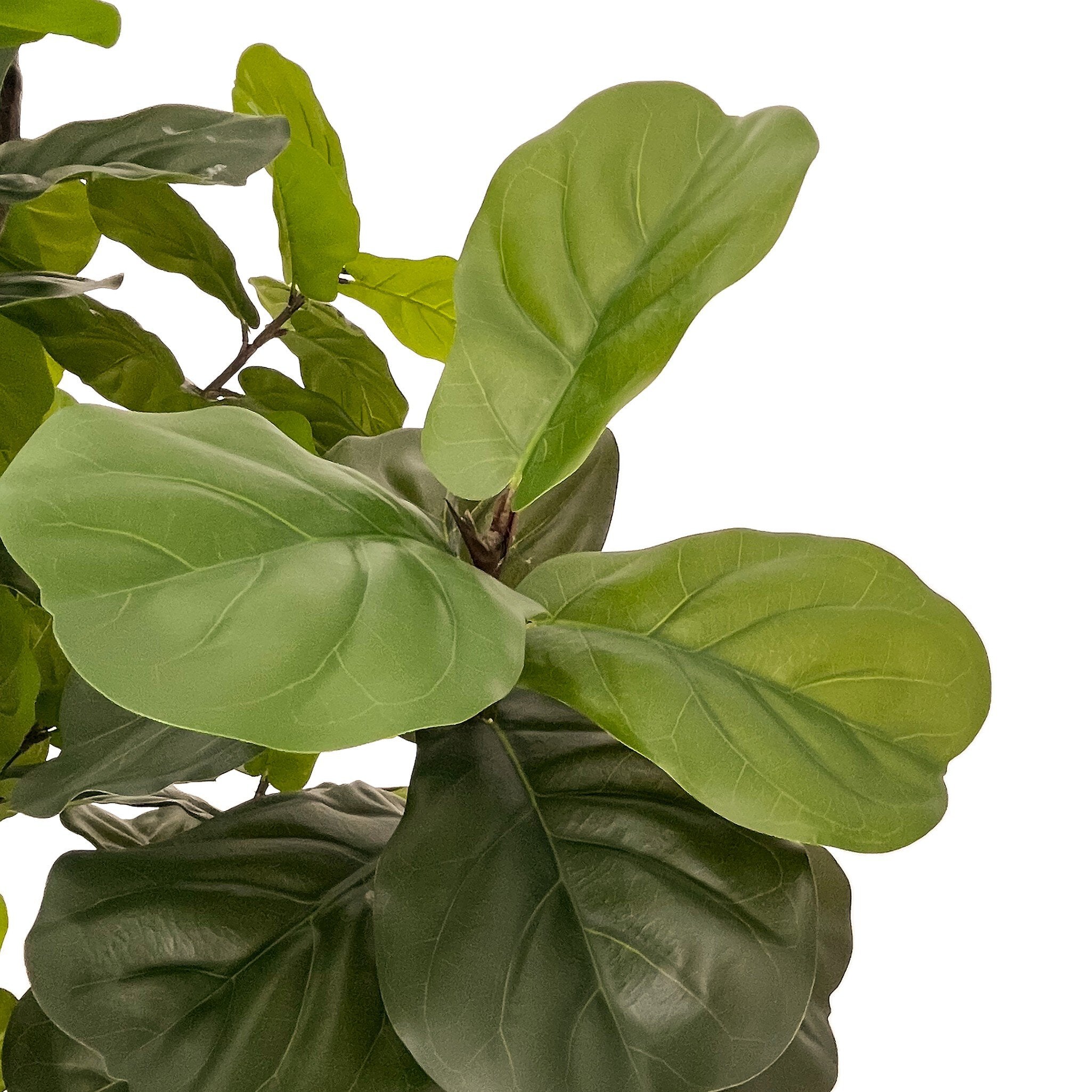 Four Hands Faux Fiddle Leaf Tree — Faux Fiddle Leaf Tree-9'