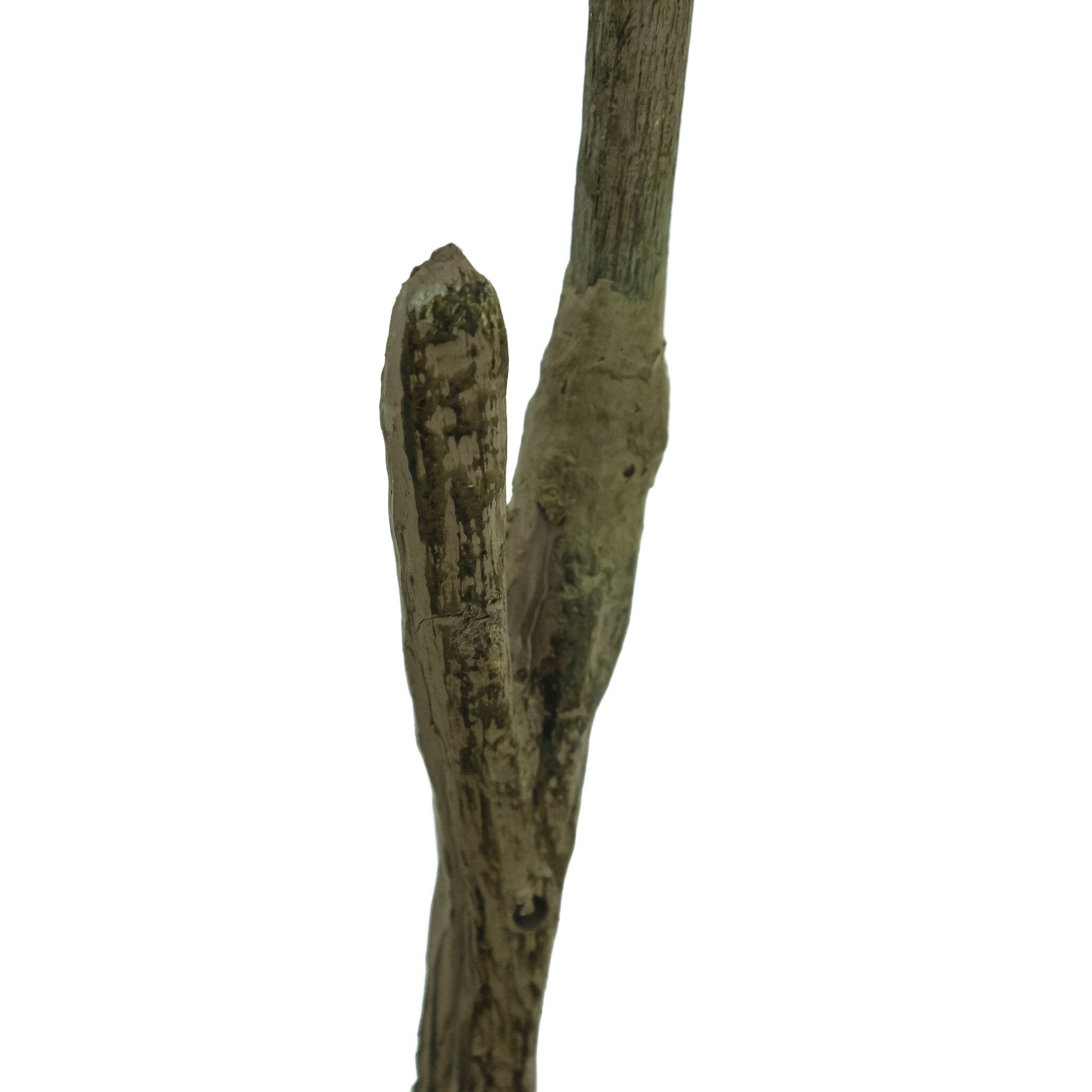 Four Hands Faux Pieris Tree — Faux Pieris Tree-8'