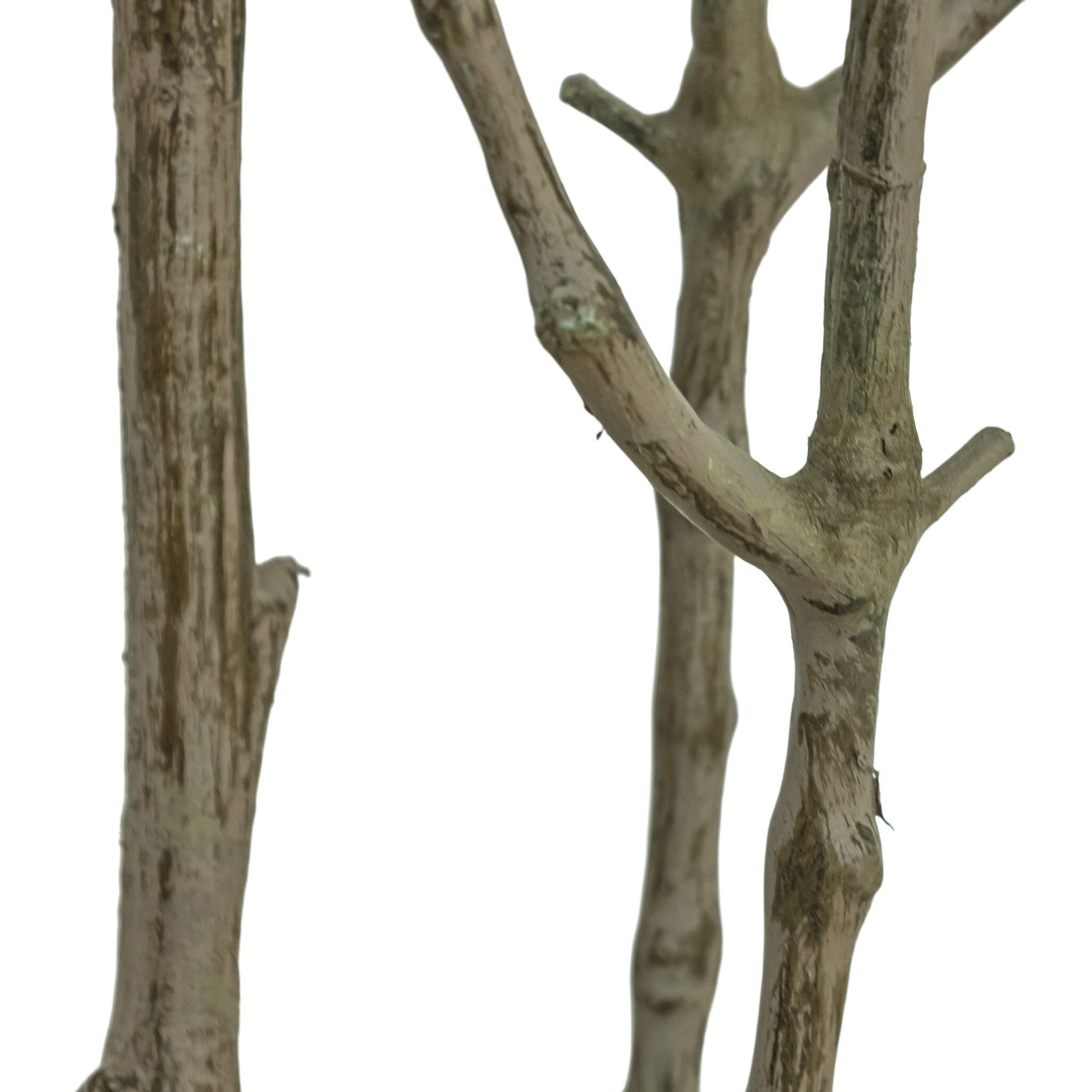 Four Hands Faux Pieris Tree — Faux Pieris Tree-8'