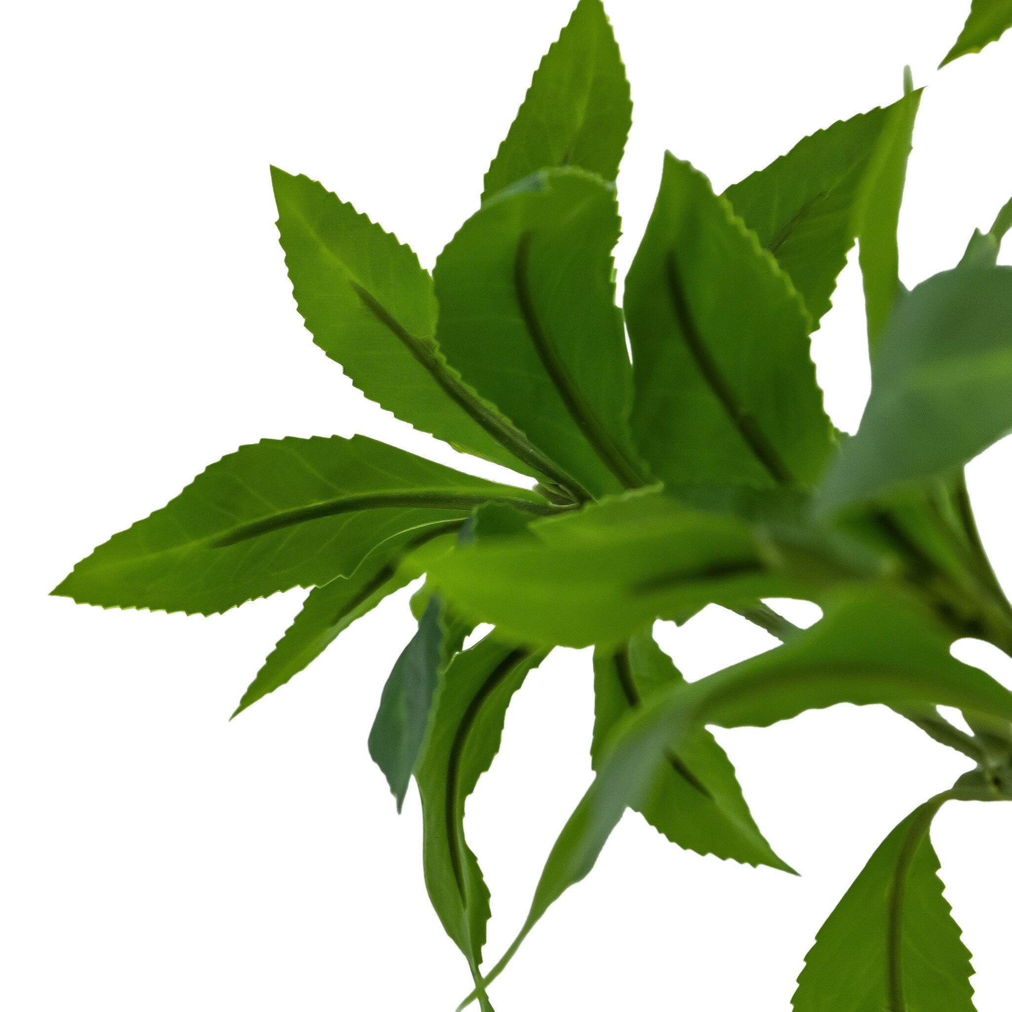 Four Hands Faux Pieris Tree — Faux Pieris Tree-8'