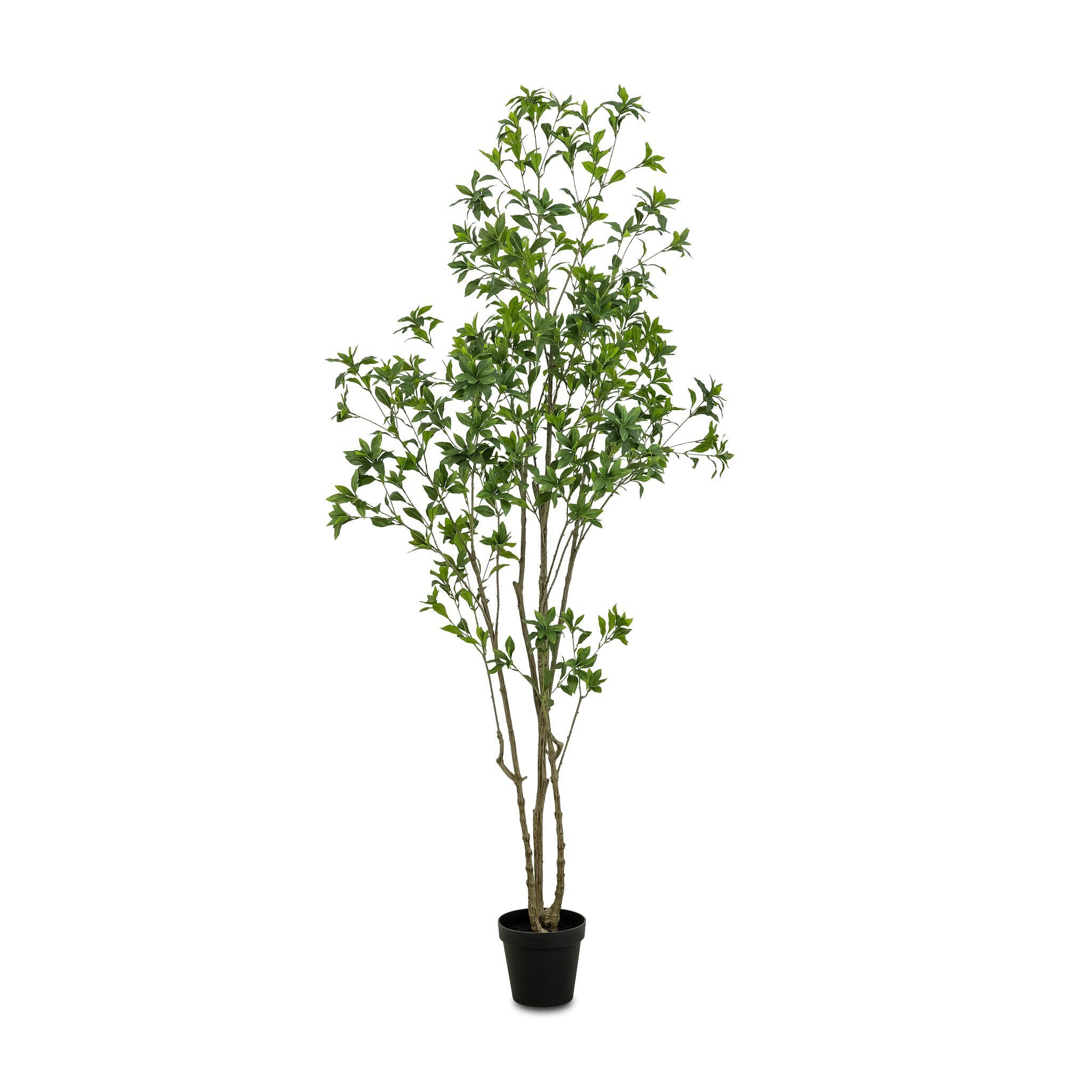 Four Hands Faux Pieris Tree — Faux Pieris Tree-8'