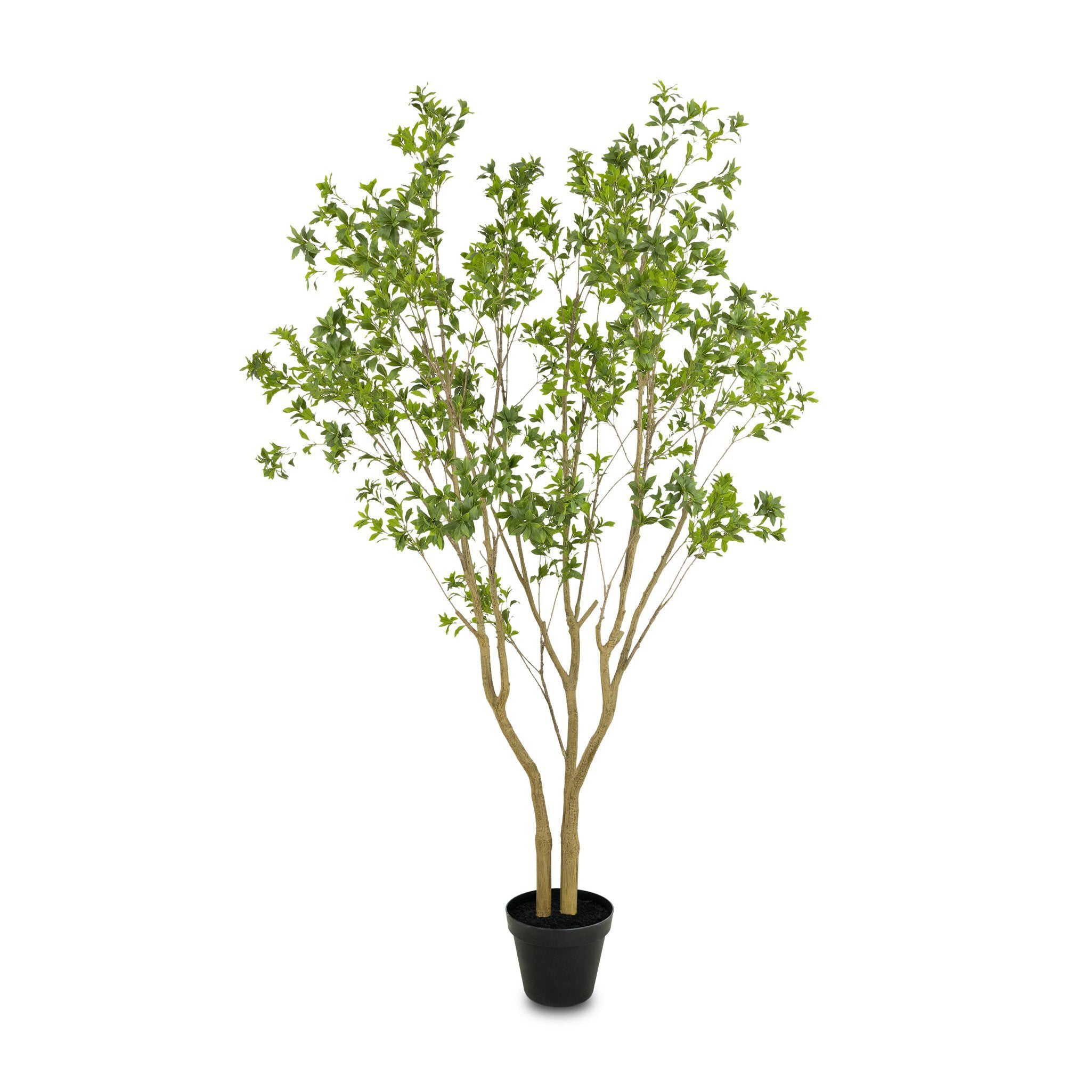Four Hands Faux Pieris Tree — Faux Pieris Tree-9.5'