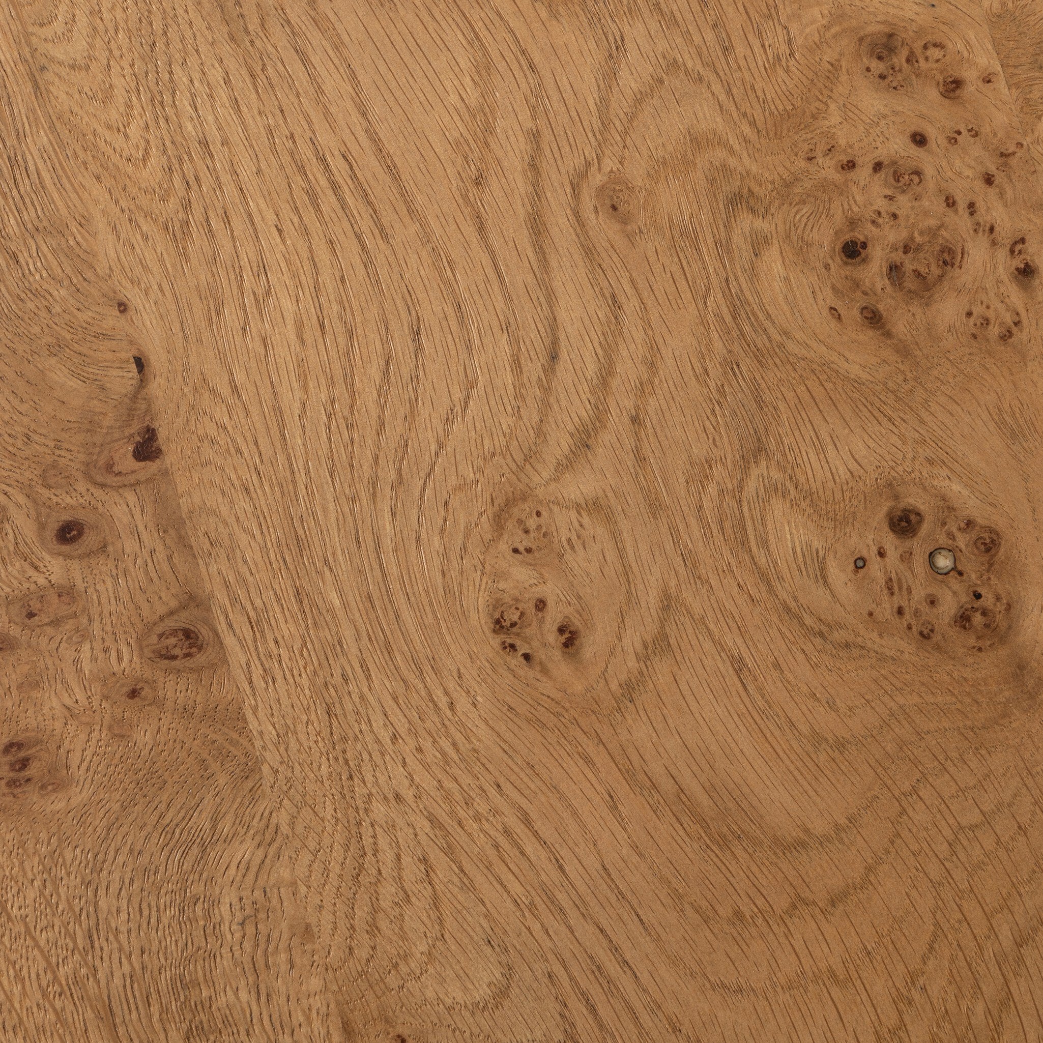 Four Hands Rue Coffee Table — Barley Medium Burl Oak-Barley Medium Burl Oak Solid